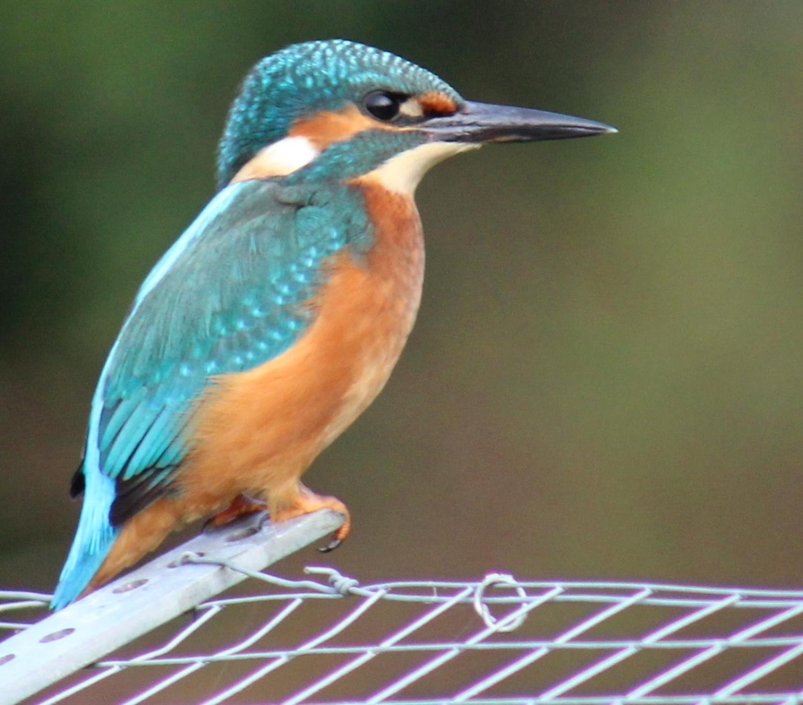Langdale Lodge at Langdale Lakes, LINCOLN LN3 5BB