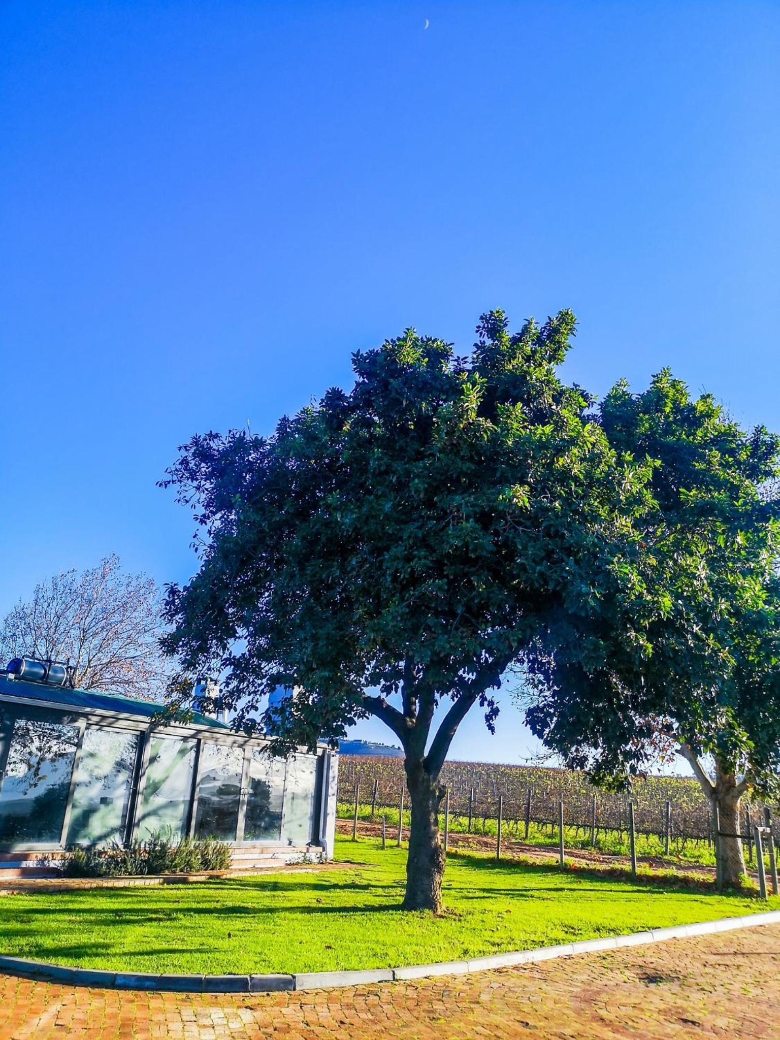 401 Rozendal Cottages