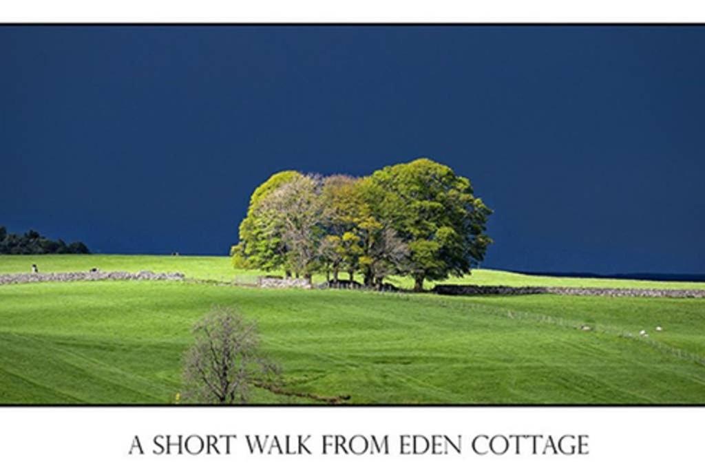 Penrith Vacations - Lake District cottage in 1 acre gardens off M6 - Property Image 30