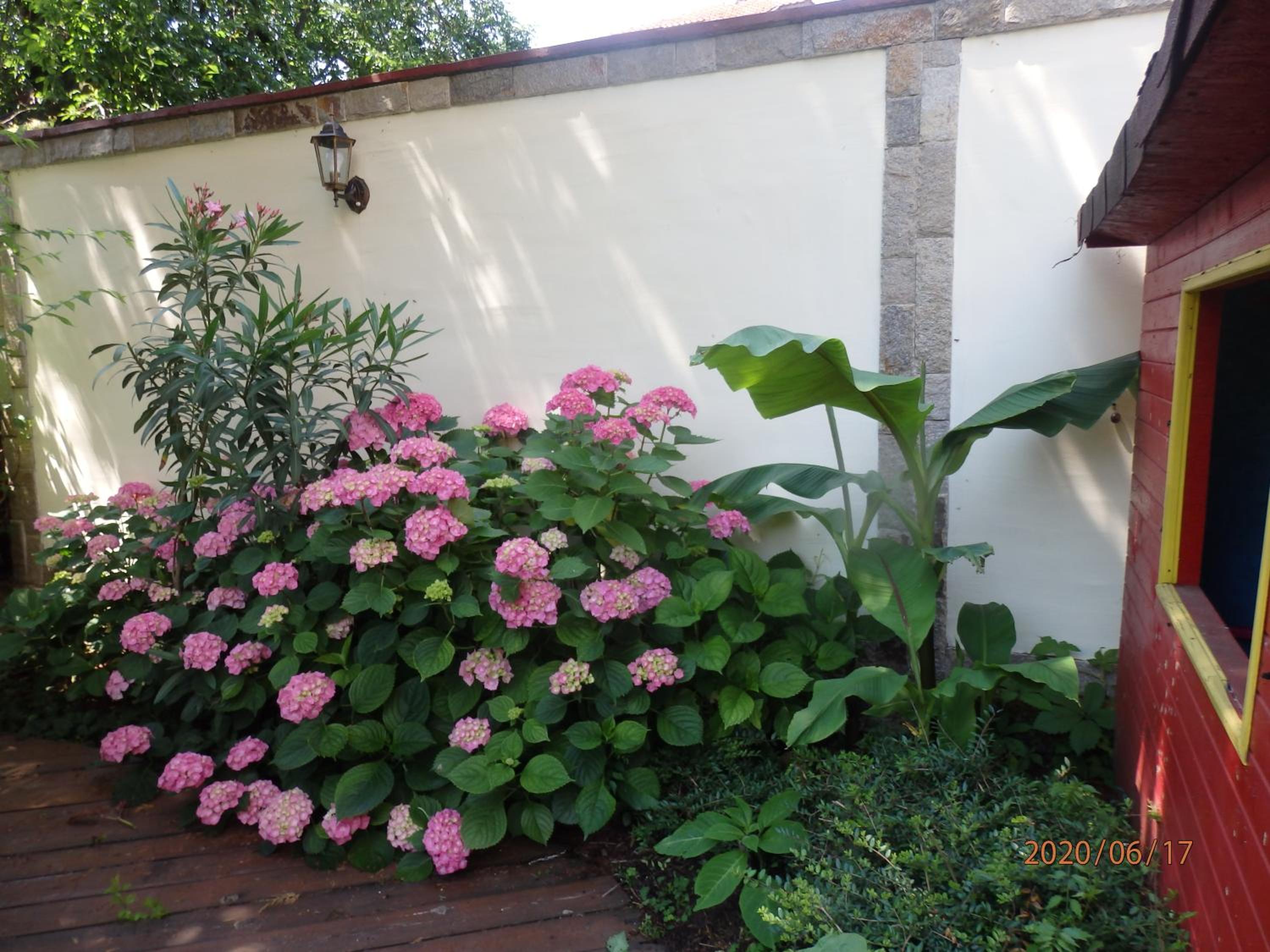 Guest house Napoli