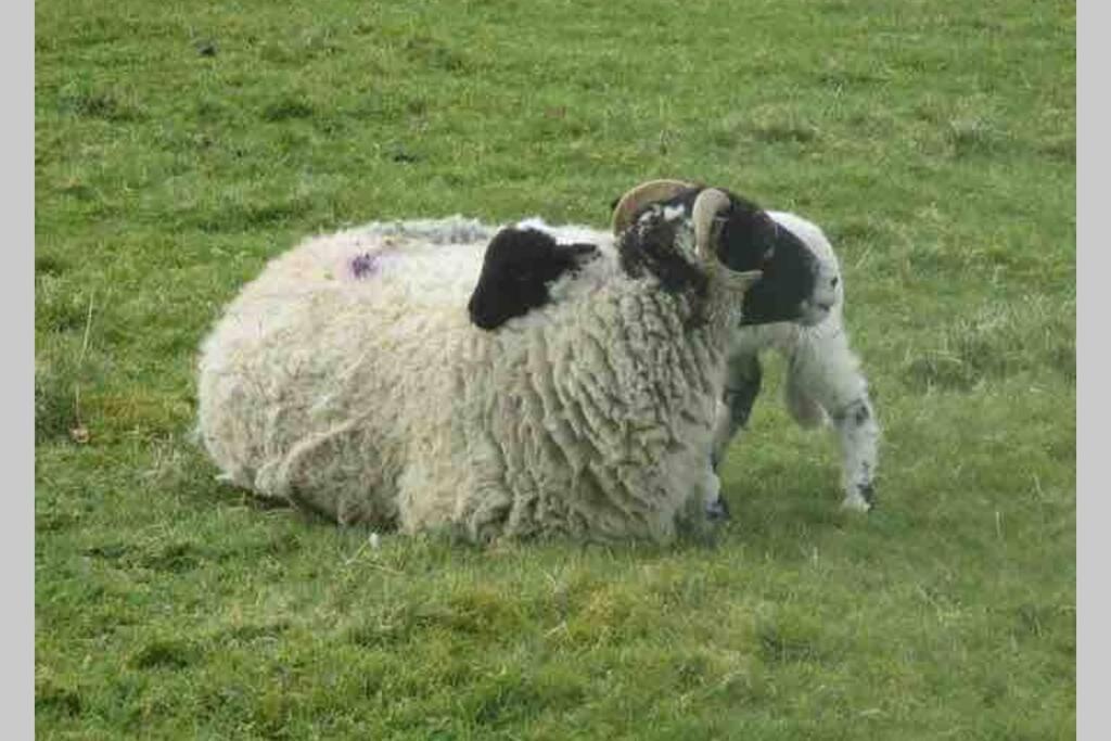 Penrith Vacations - Lake District romantic get away in 1 acre gardens off M6 - Property Image 21