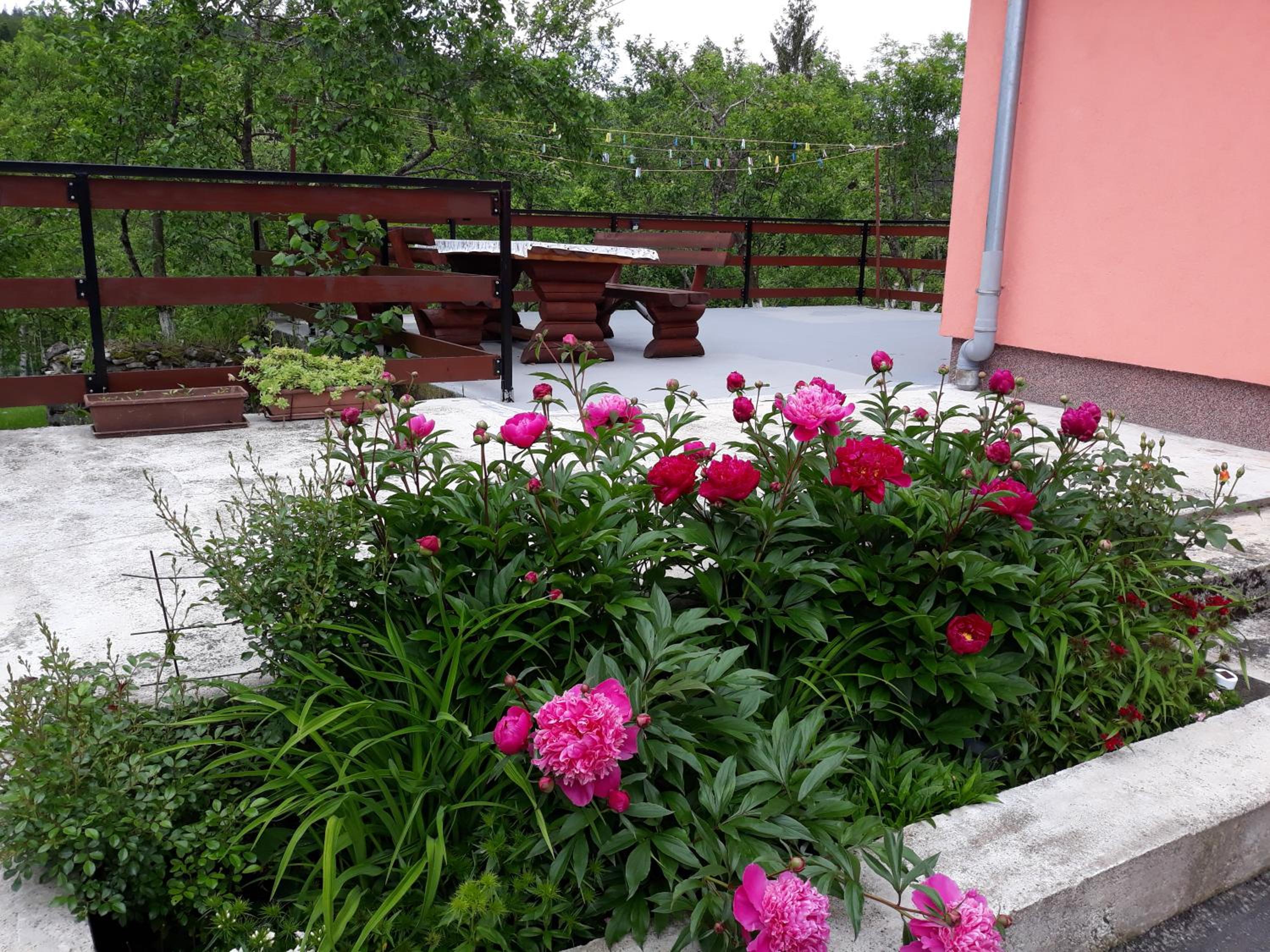 Photo 44