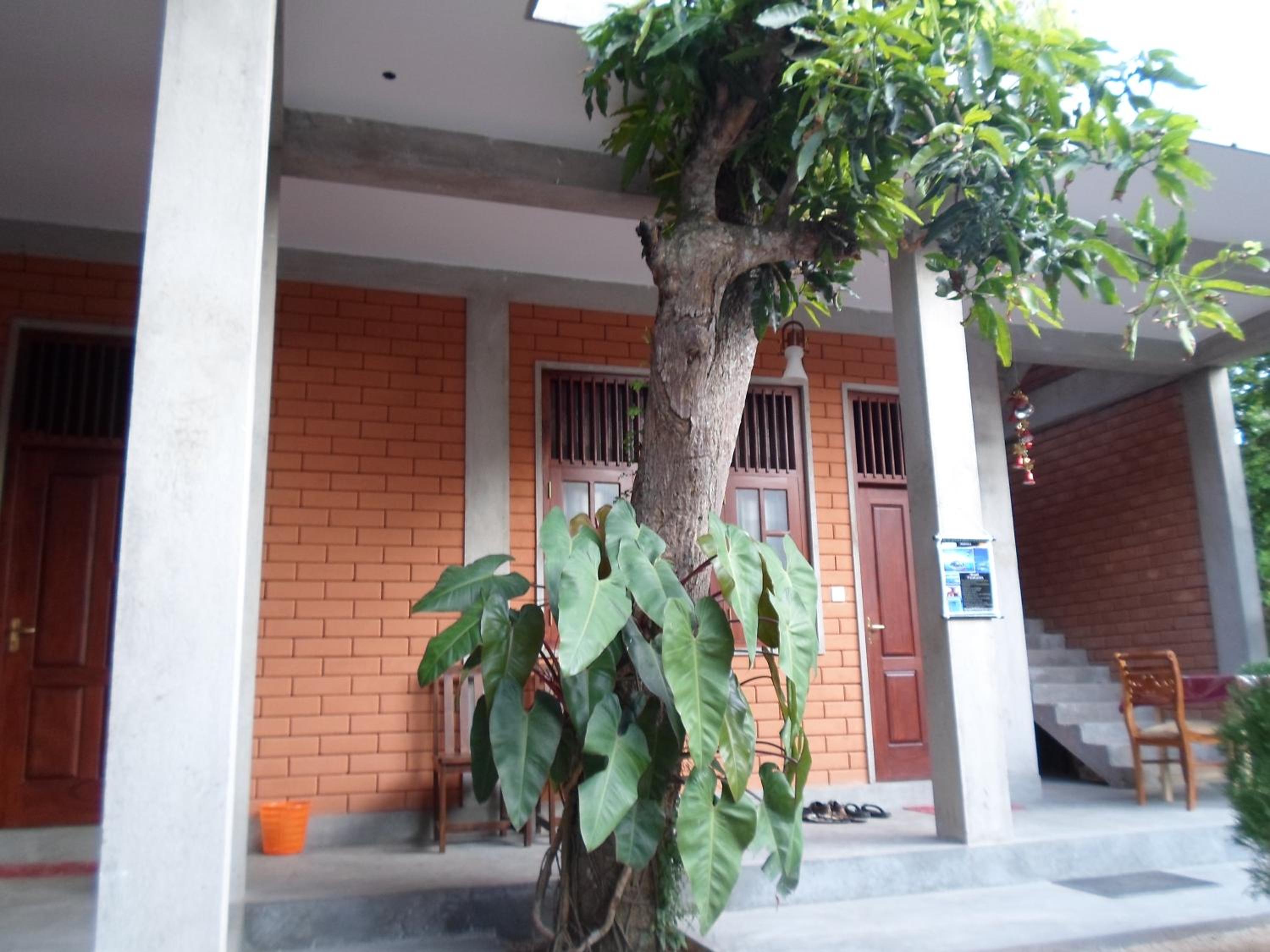 Photo 26