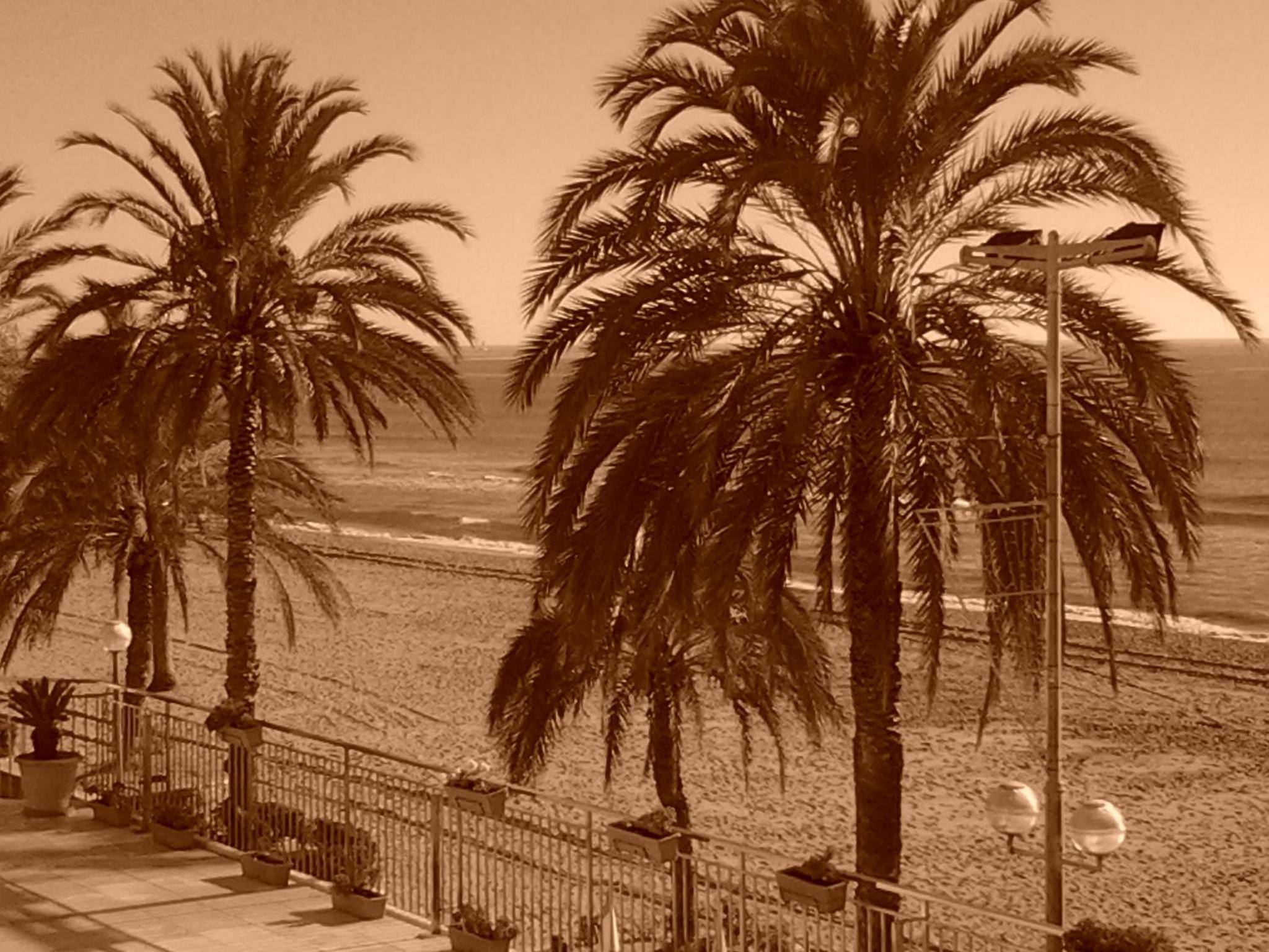 Calafell Torre Sol 4 photo 2