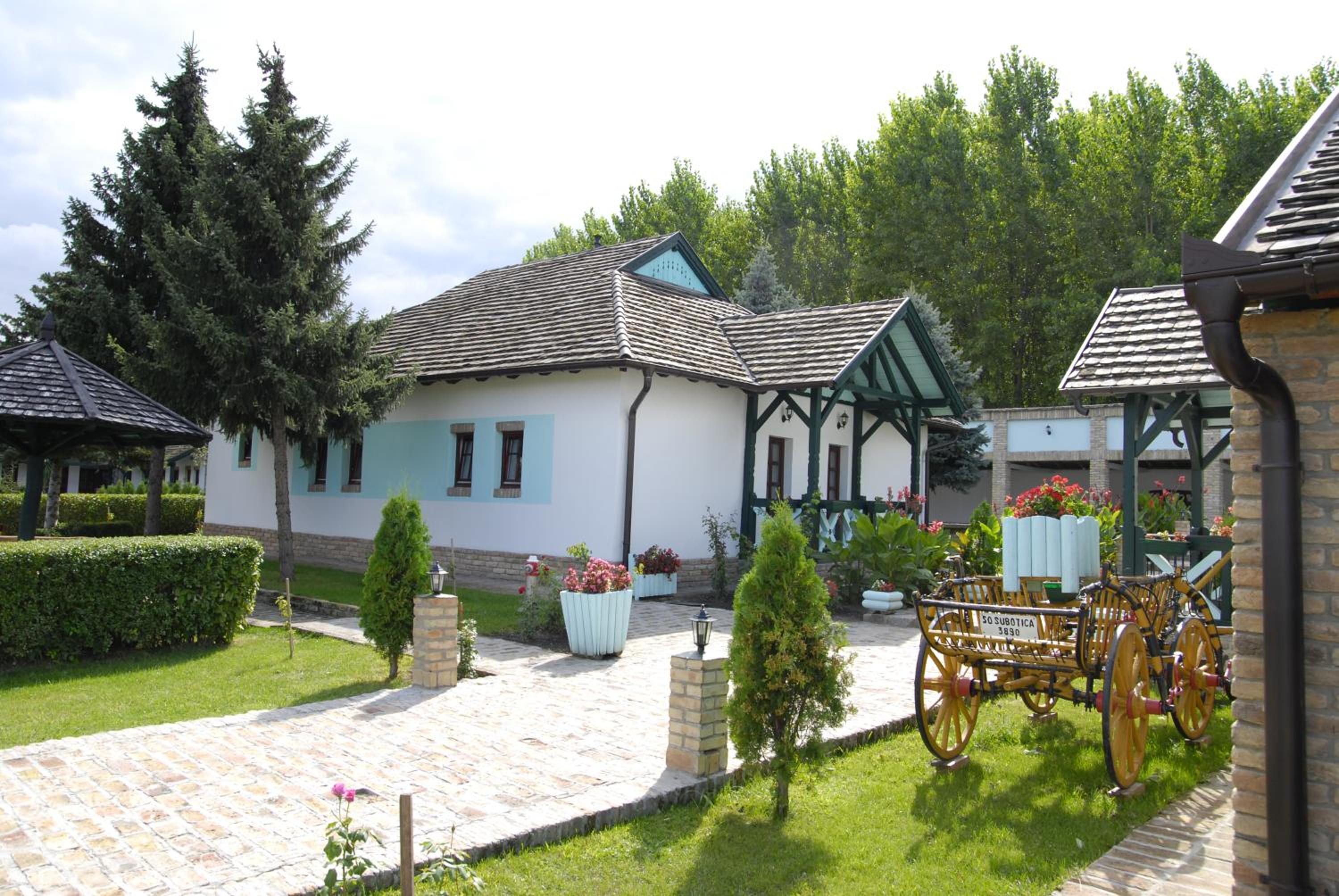 Jelen salaš view 5