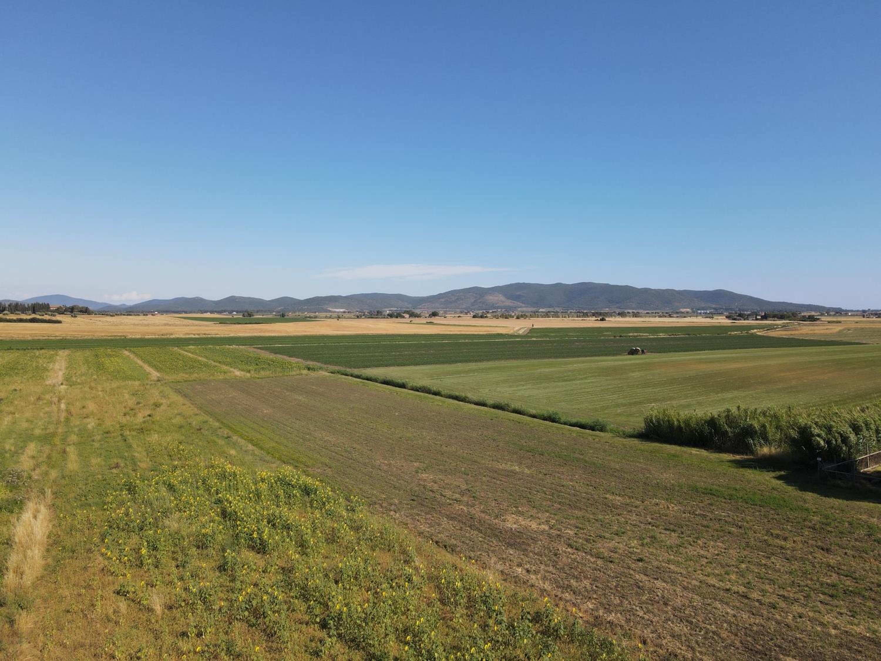 Photo 48