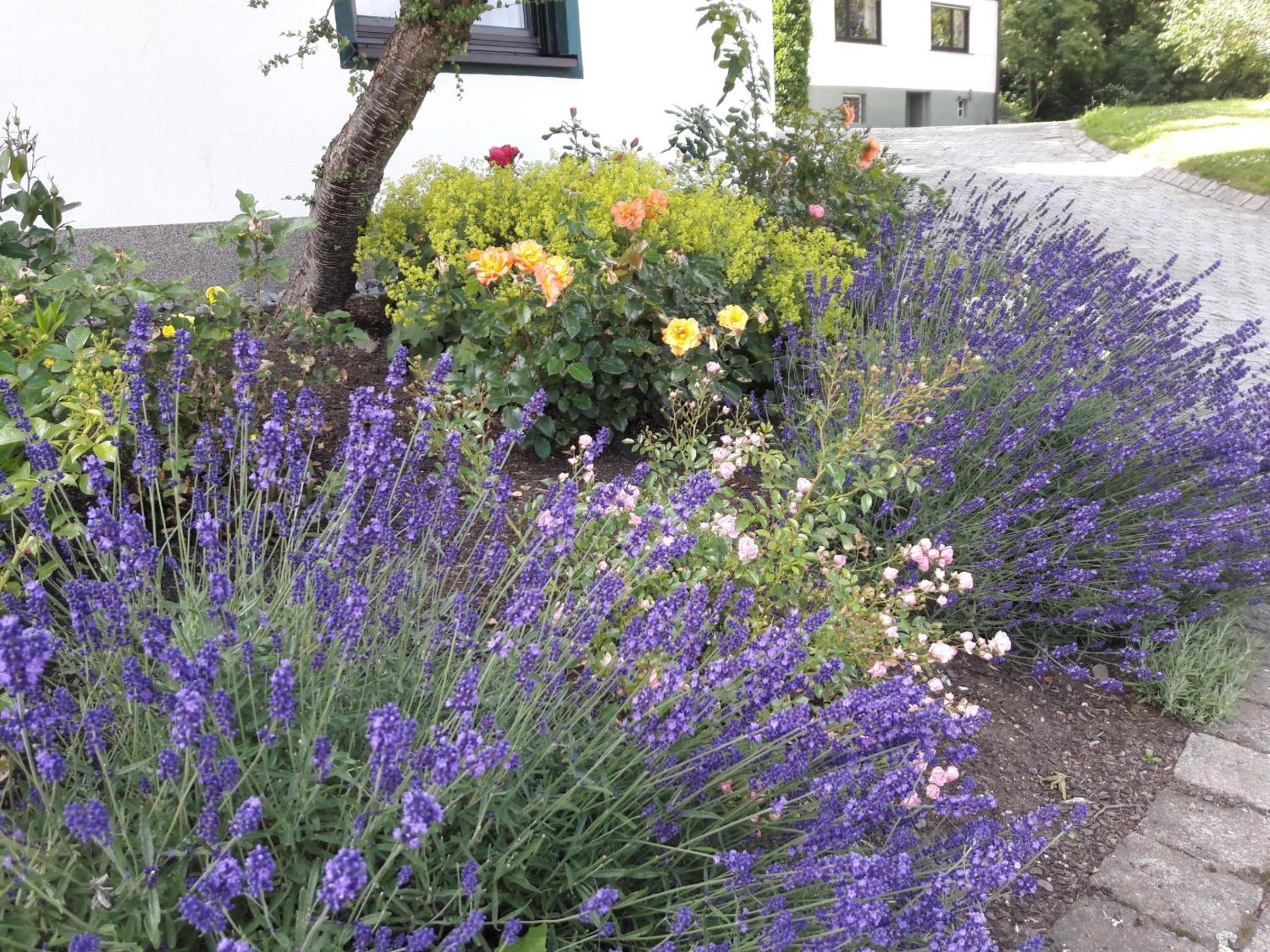 Ferienhaus Wasserfall