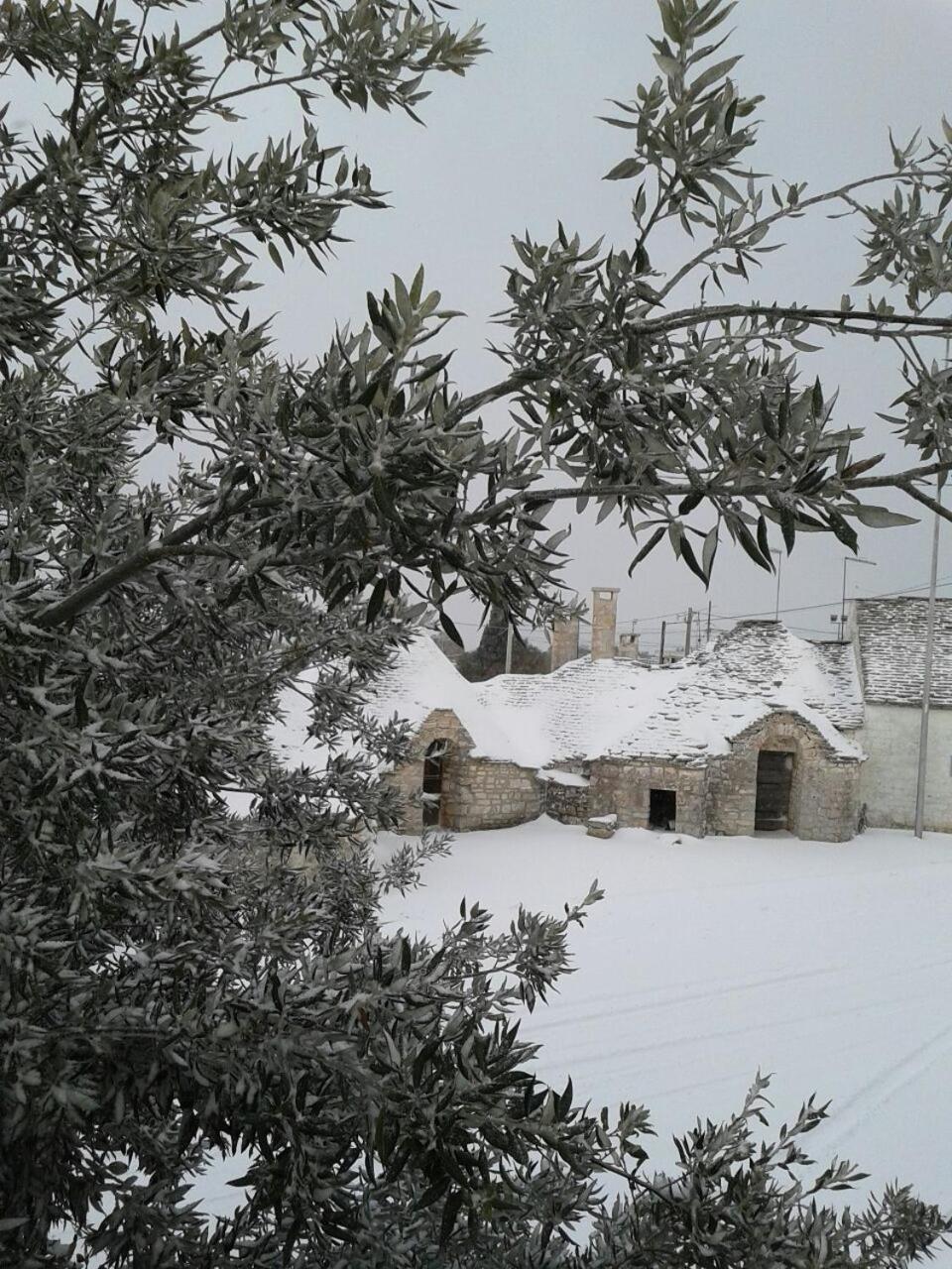Photo 13