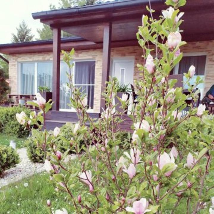 Sweet Home