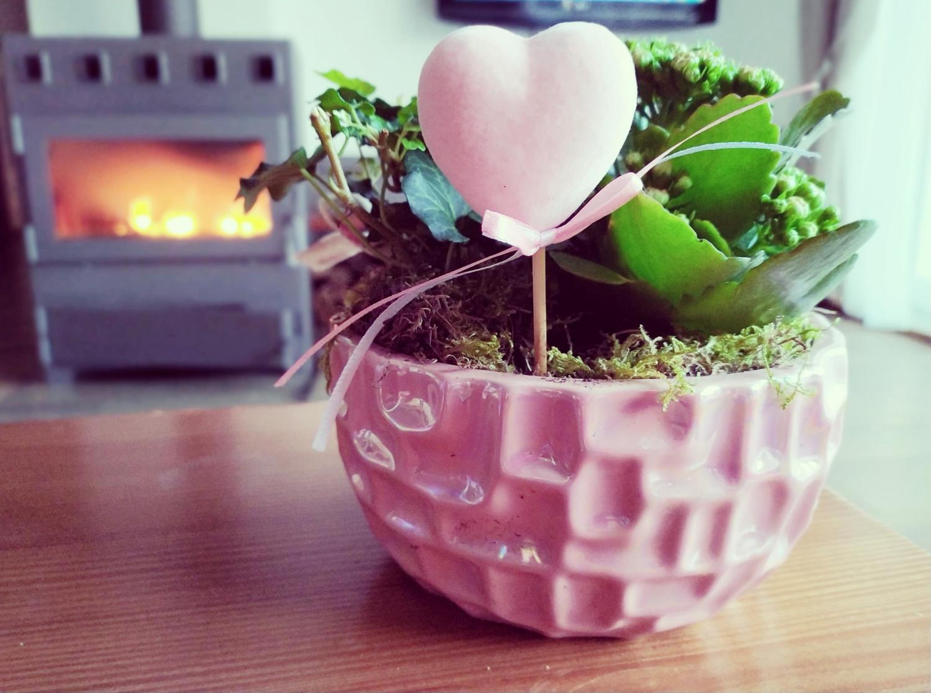 Sweet Home
