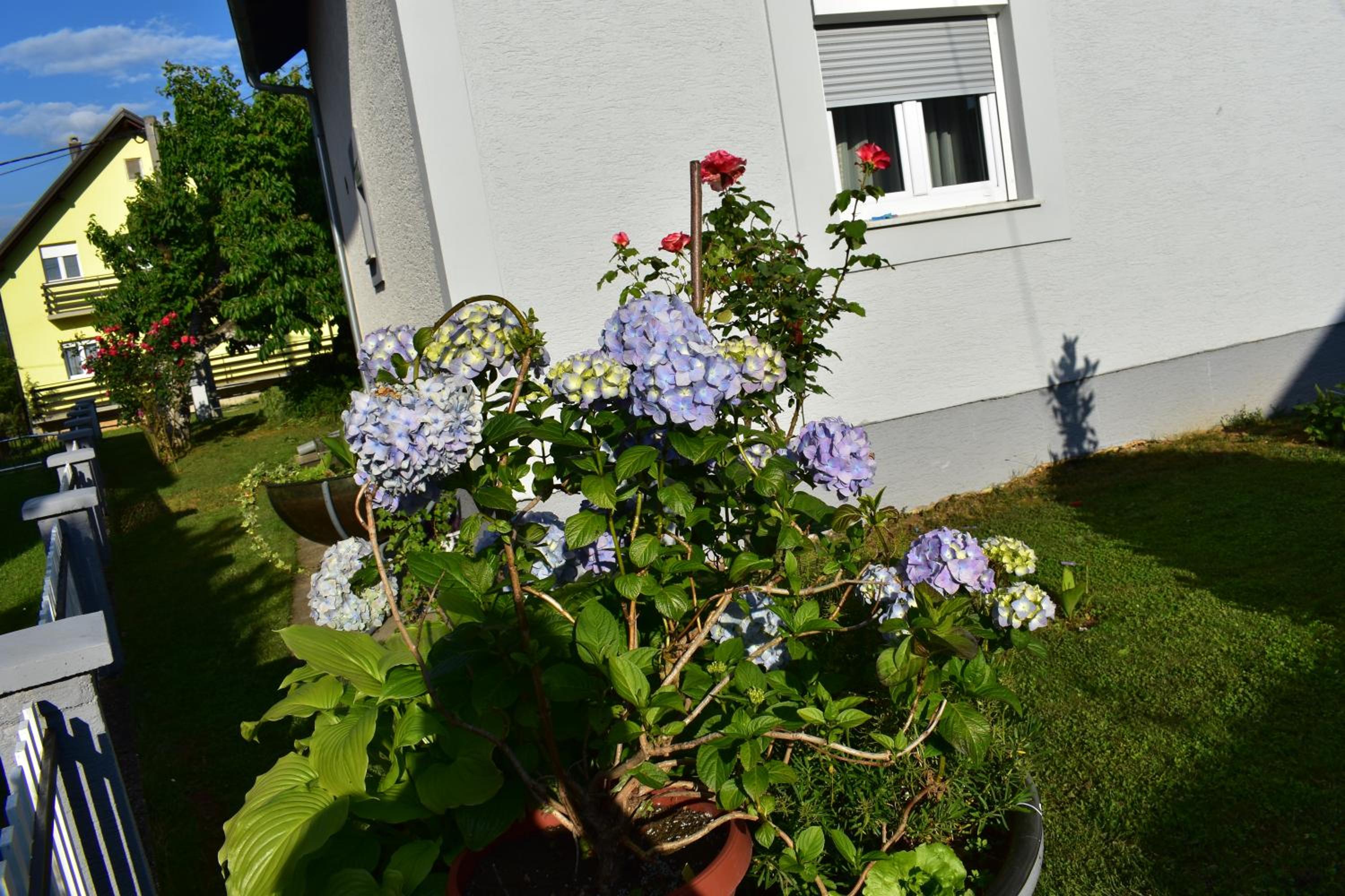 House Burić view 5