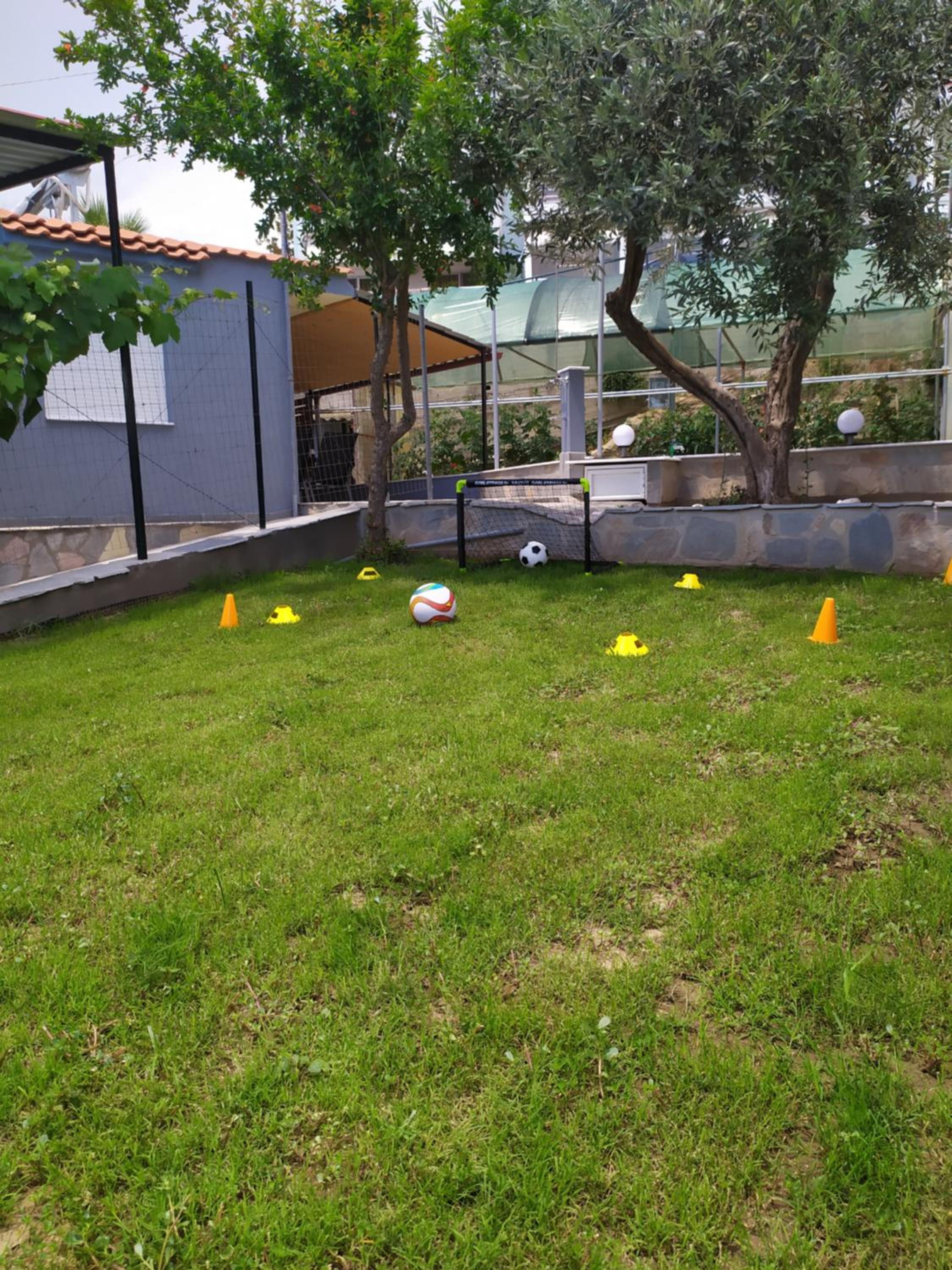Photo 12