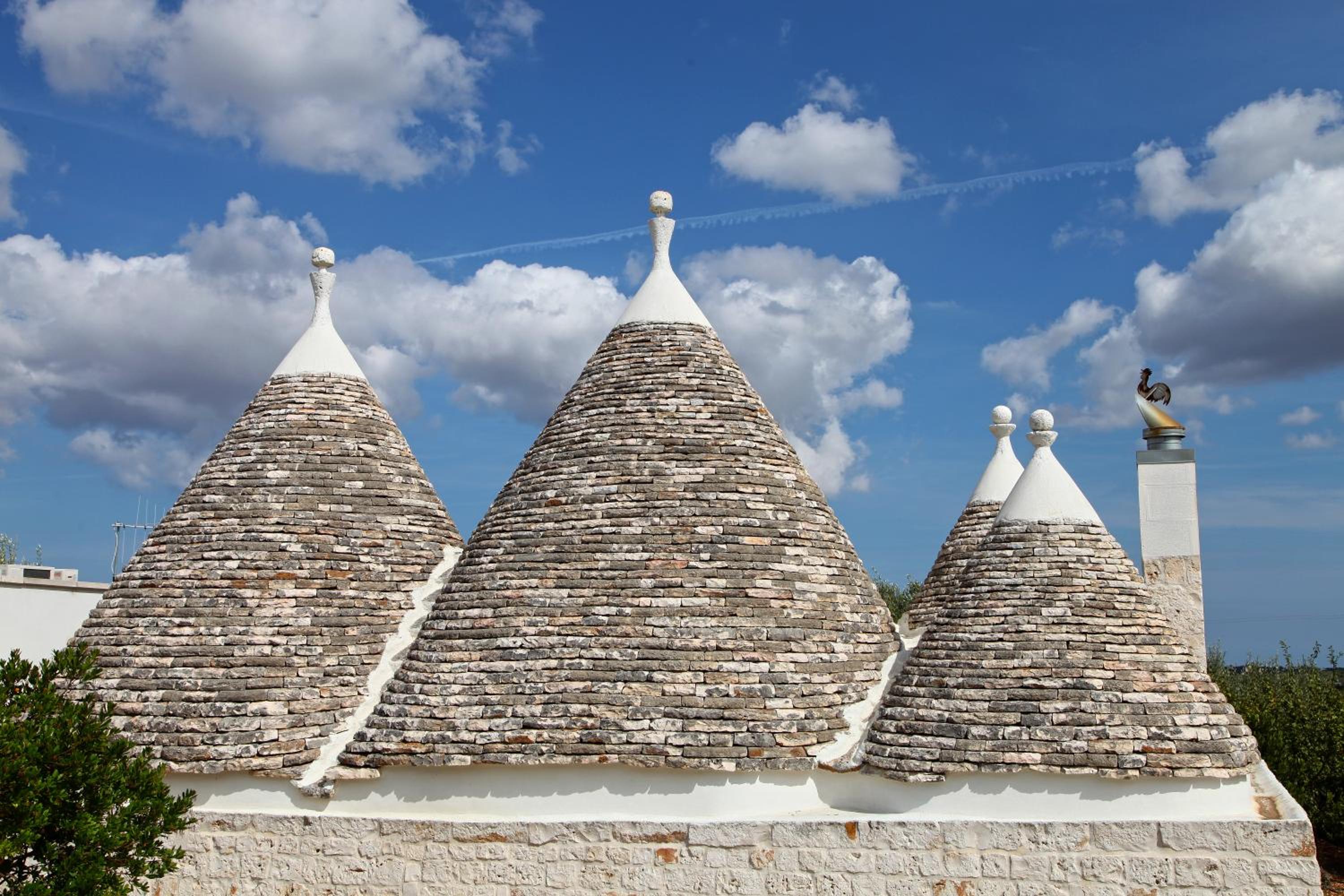Trulli Foggia dell'Albero photo 5