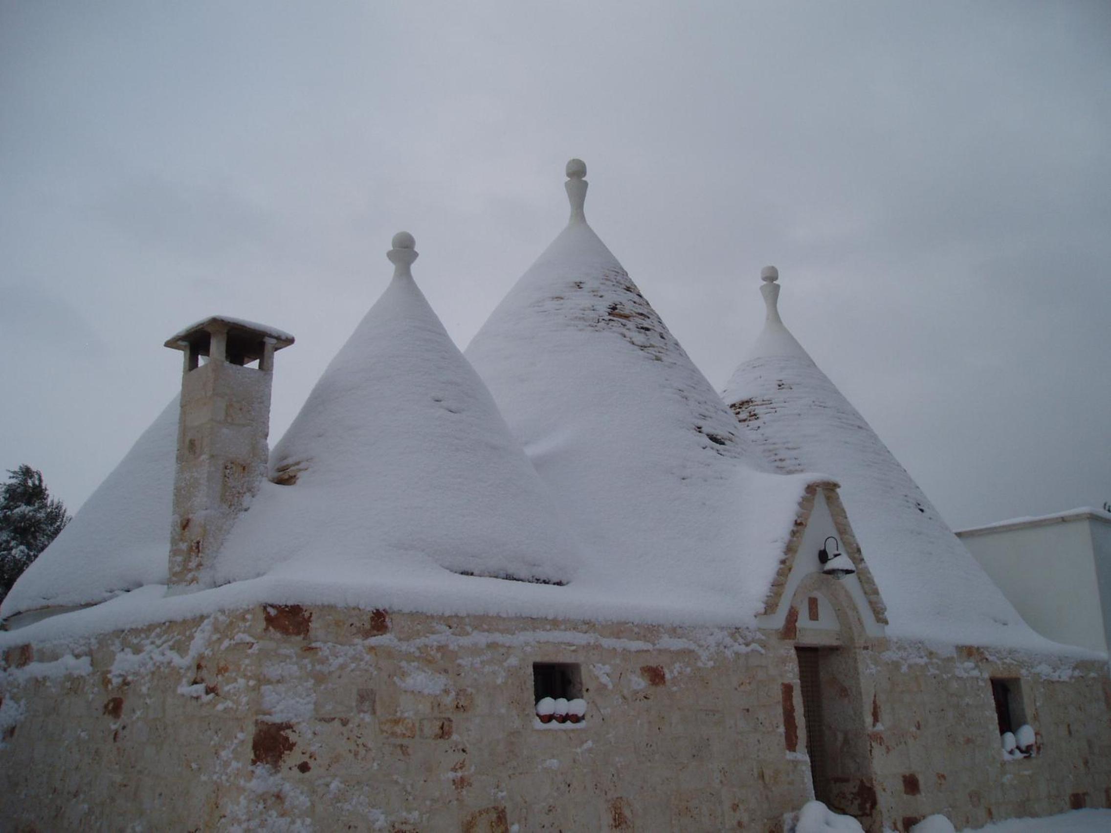 Trulli Foggia dell'Albero photo 1