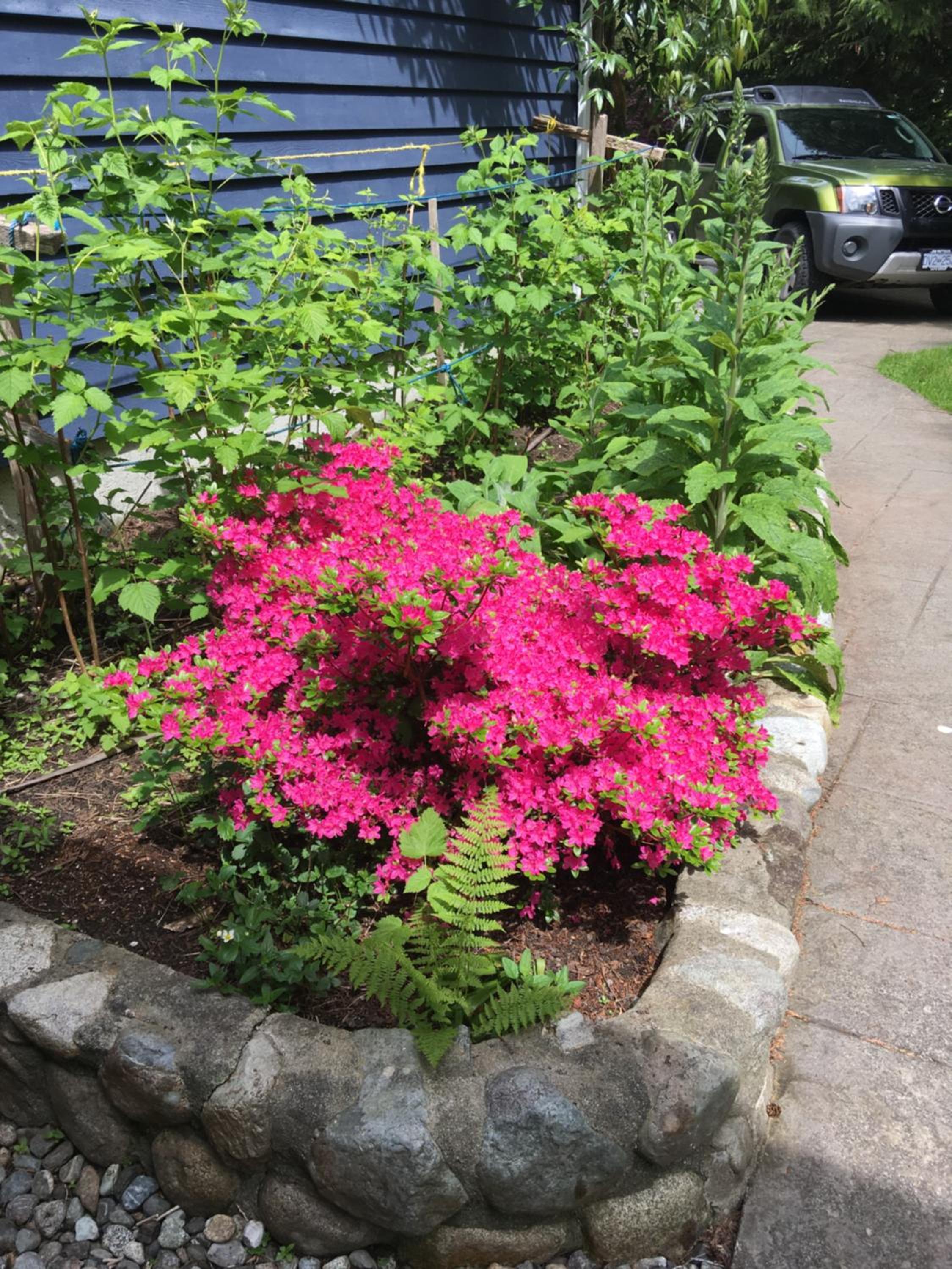 Tofino Vacations - Cobble Wood and Bird Sanctuary Guest Houses - Property Image 5