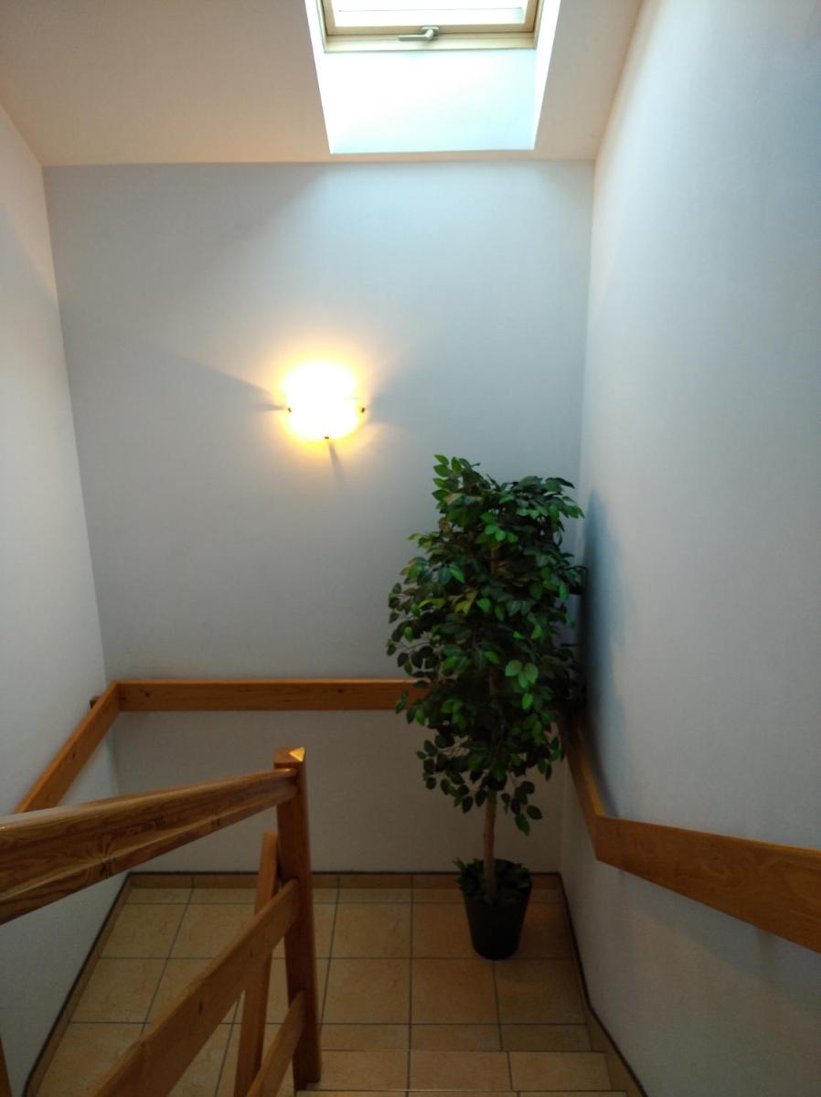 Photo 38