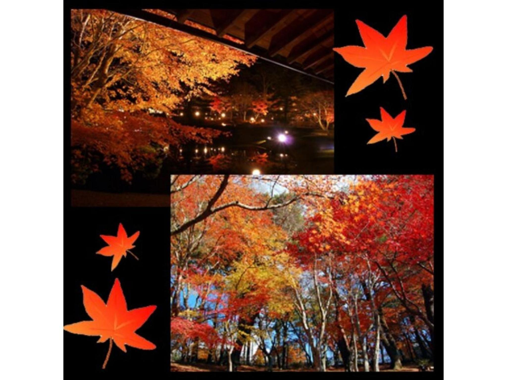 TOKINOSUMIKA HOTEL OLIVE NO KI - Vacation STAY 83622