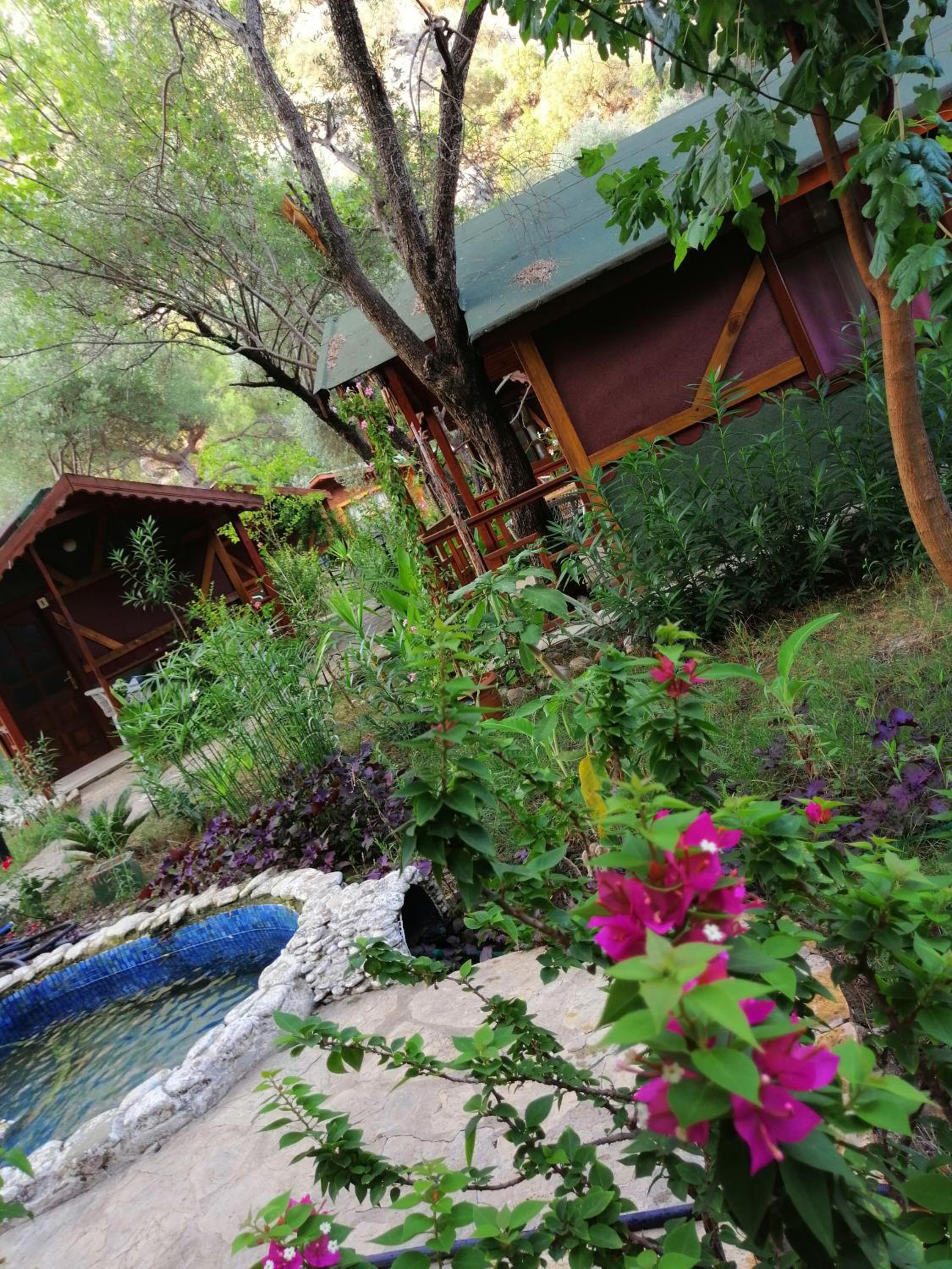 Canario Bungalows