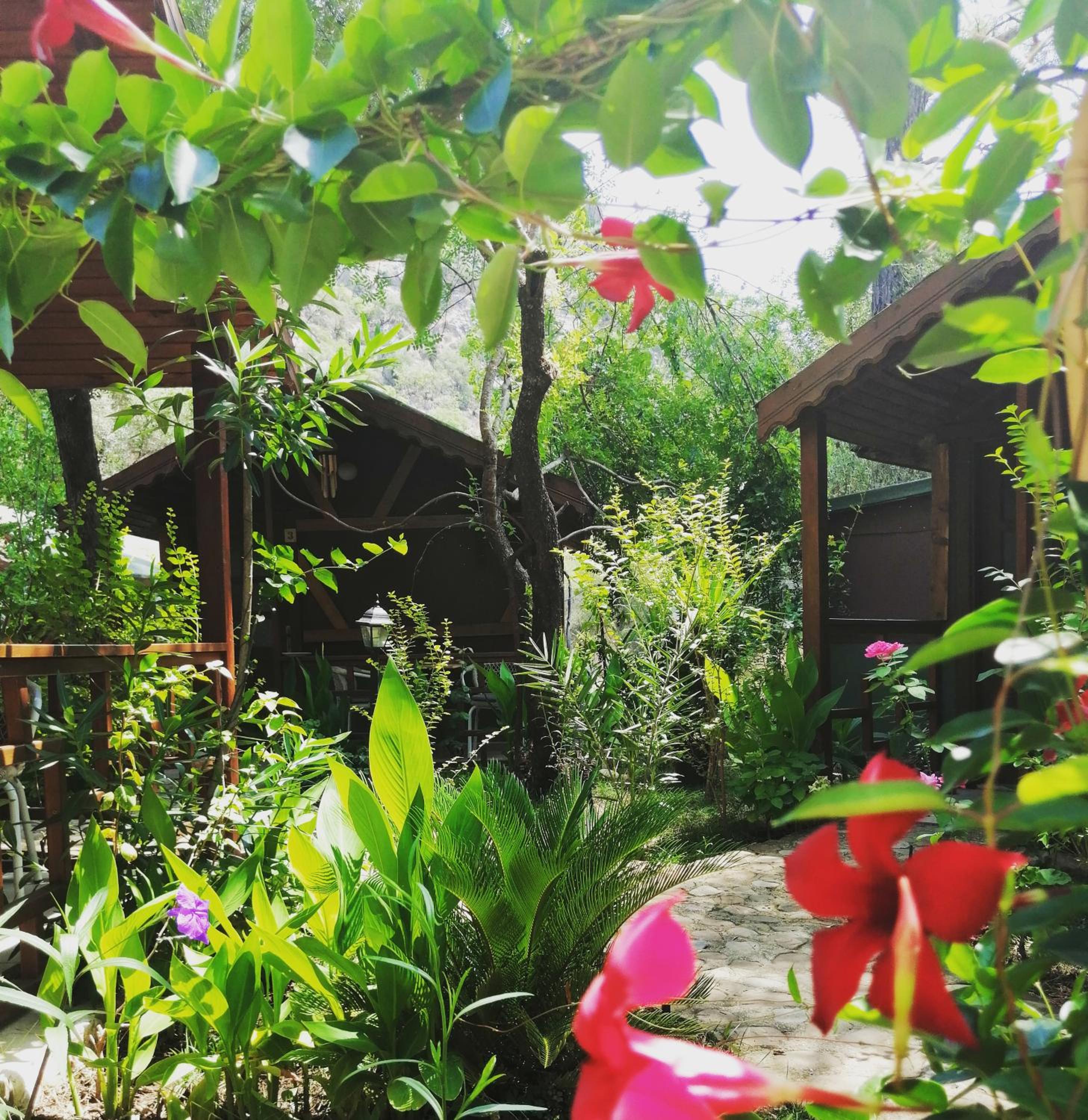 Canario Bungalows