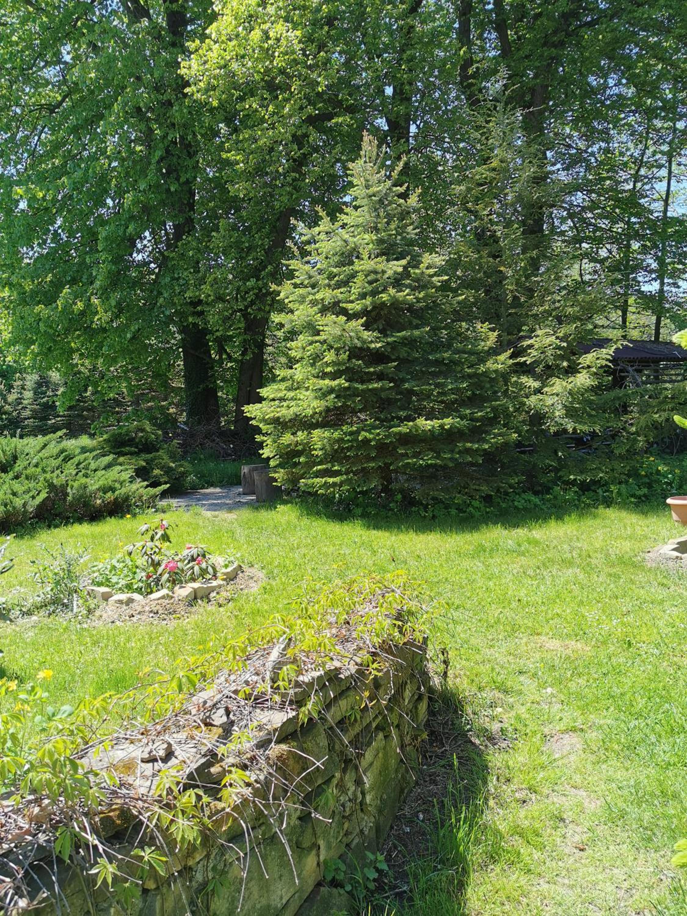 Agroturystyka w ogrodach view 2
