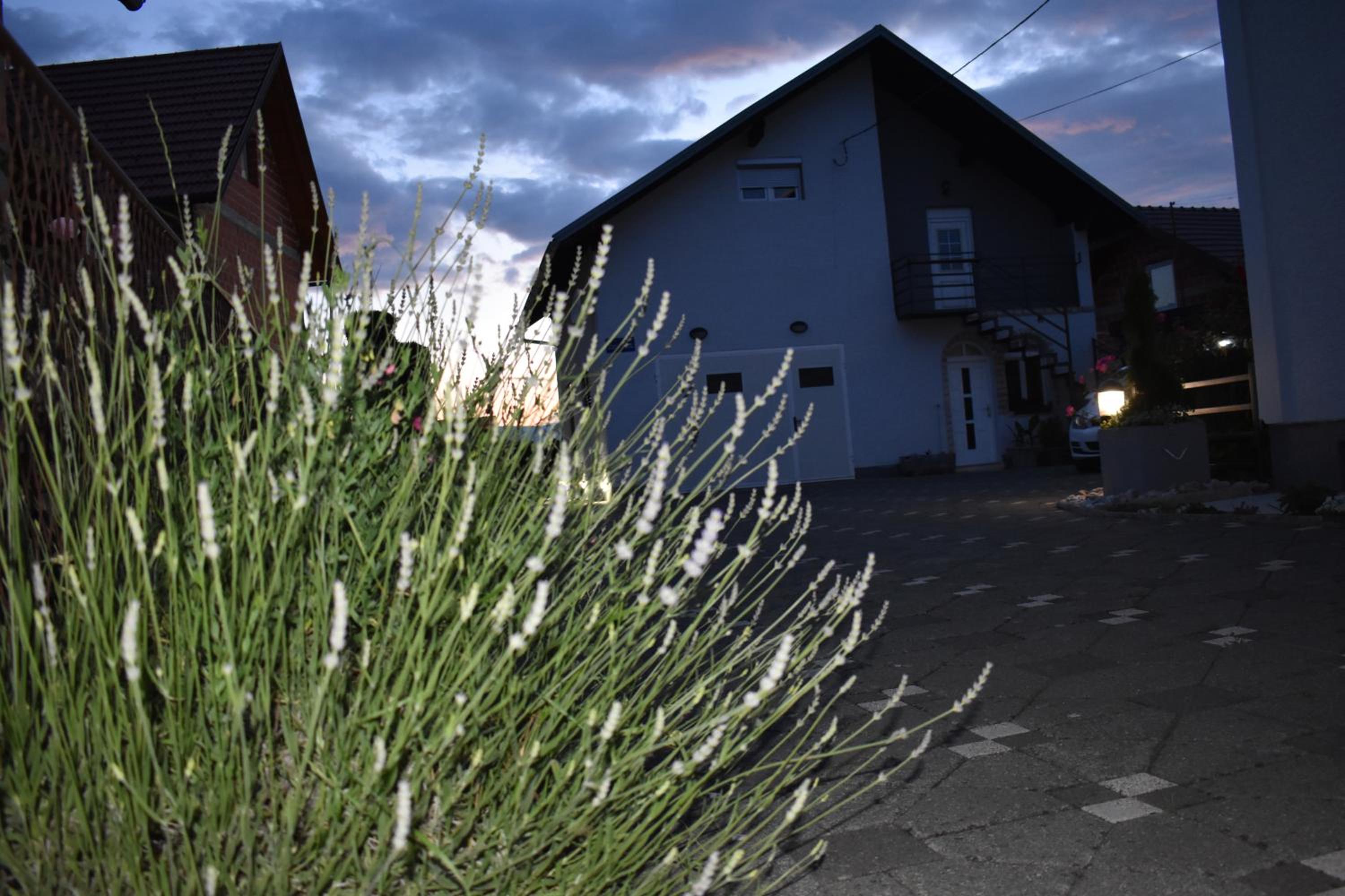 Photo 44