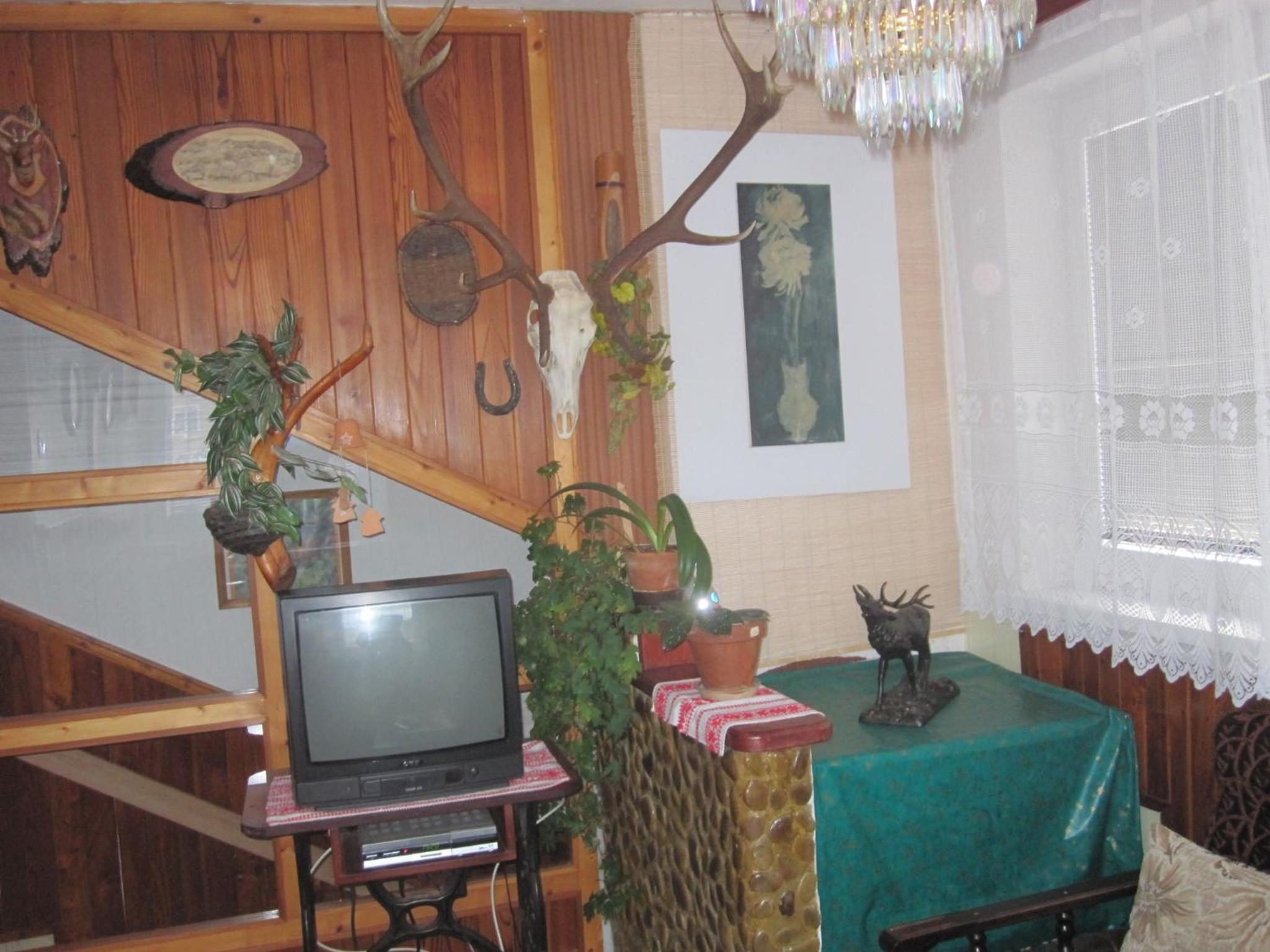 Photo 45