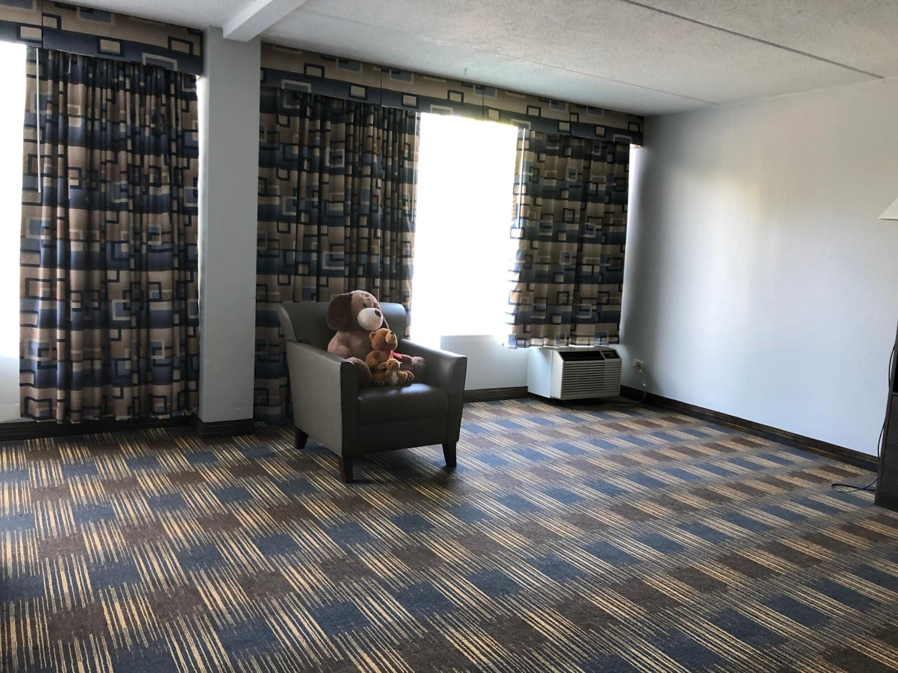 Photo 19