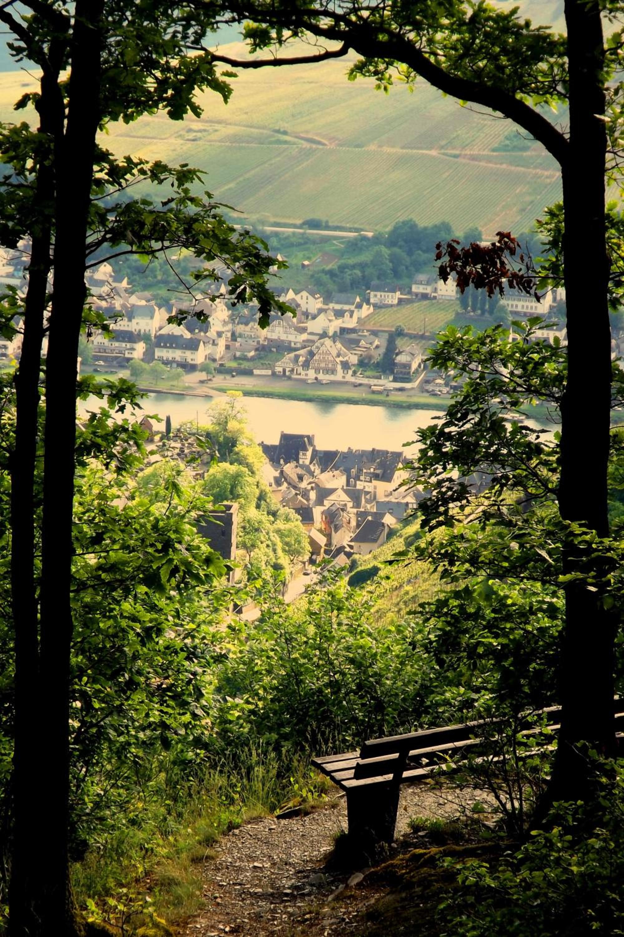 Mosel Panorama