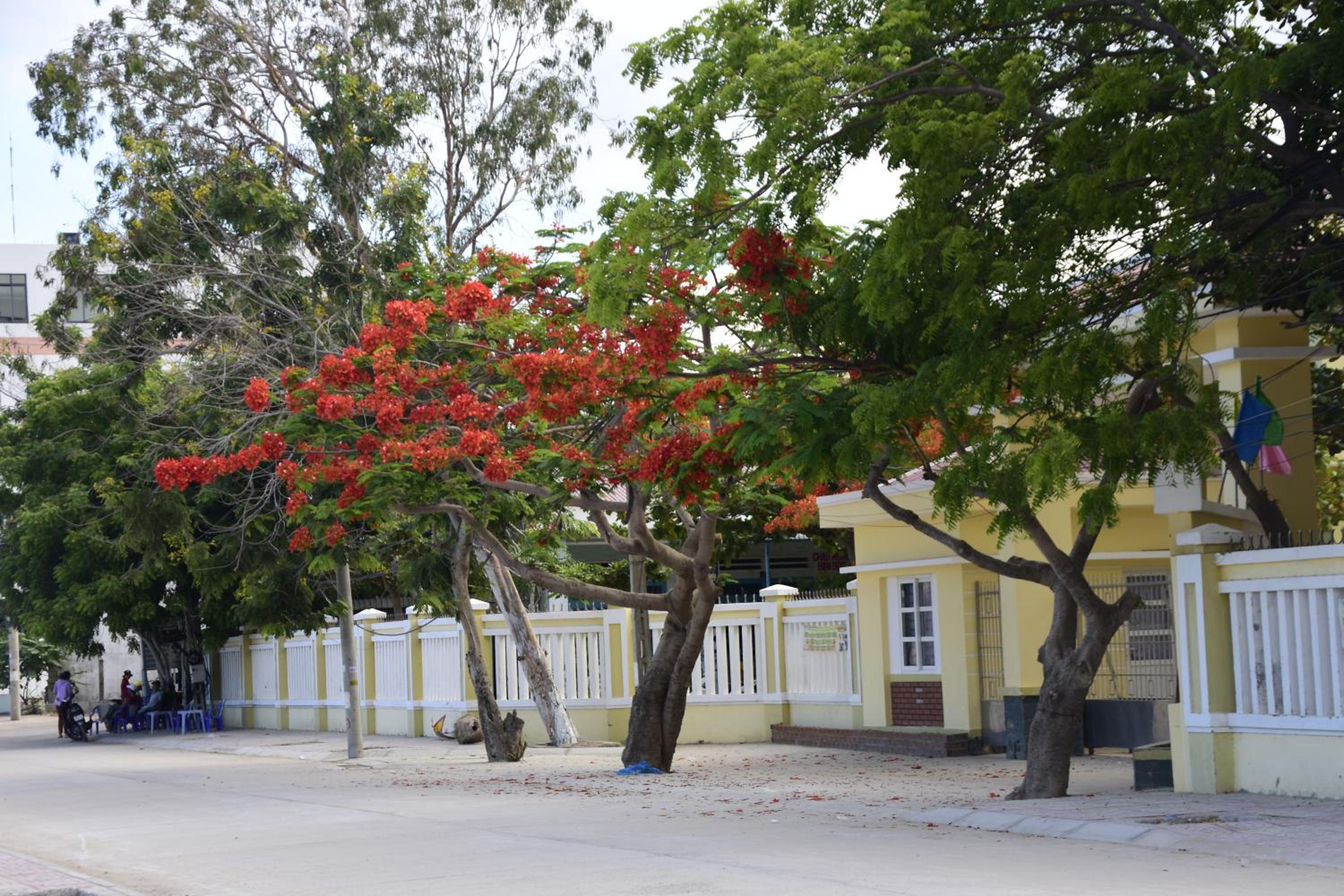 Photo 13