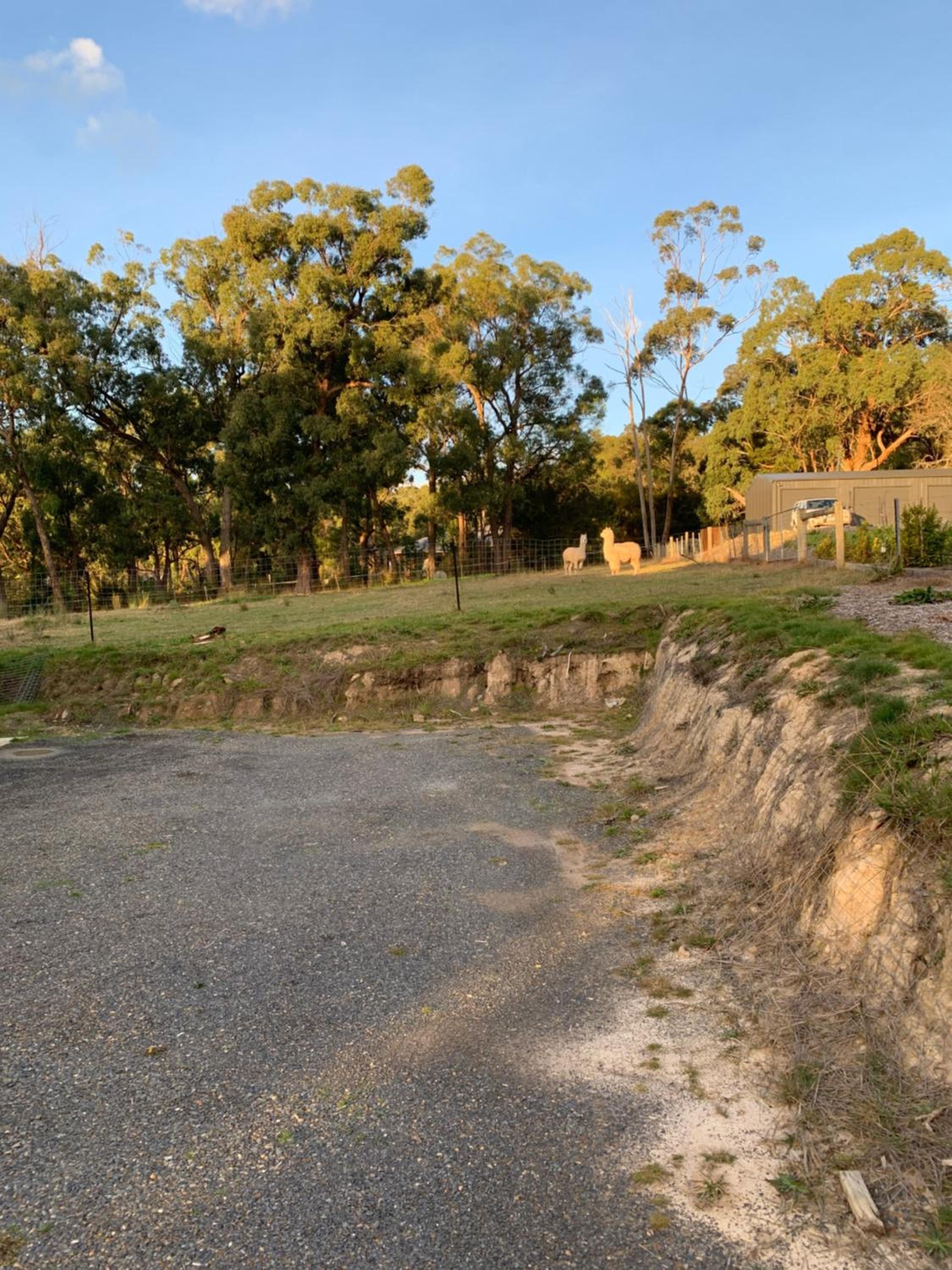 Mijen's Manor
