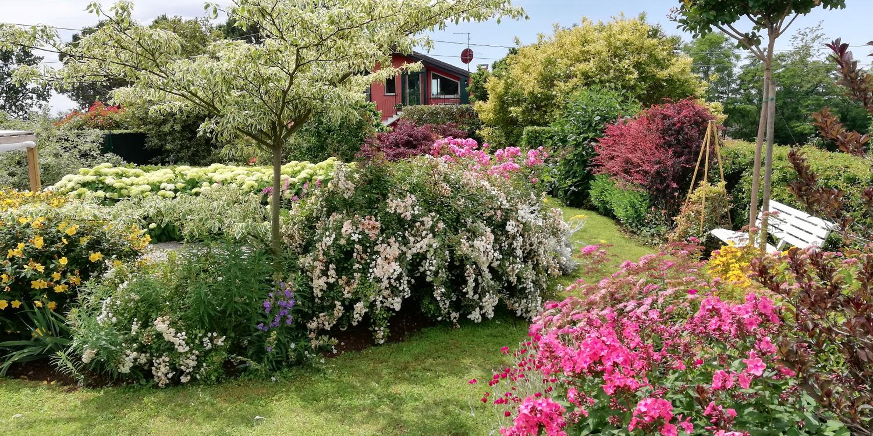 La Collina since 2008 NO SMOKING B&B