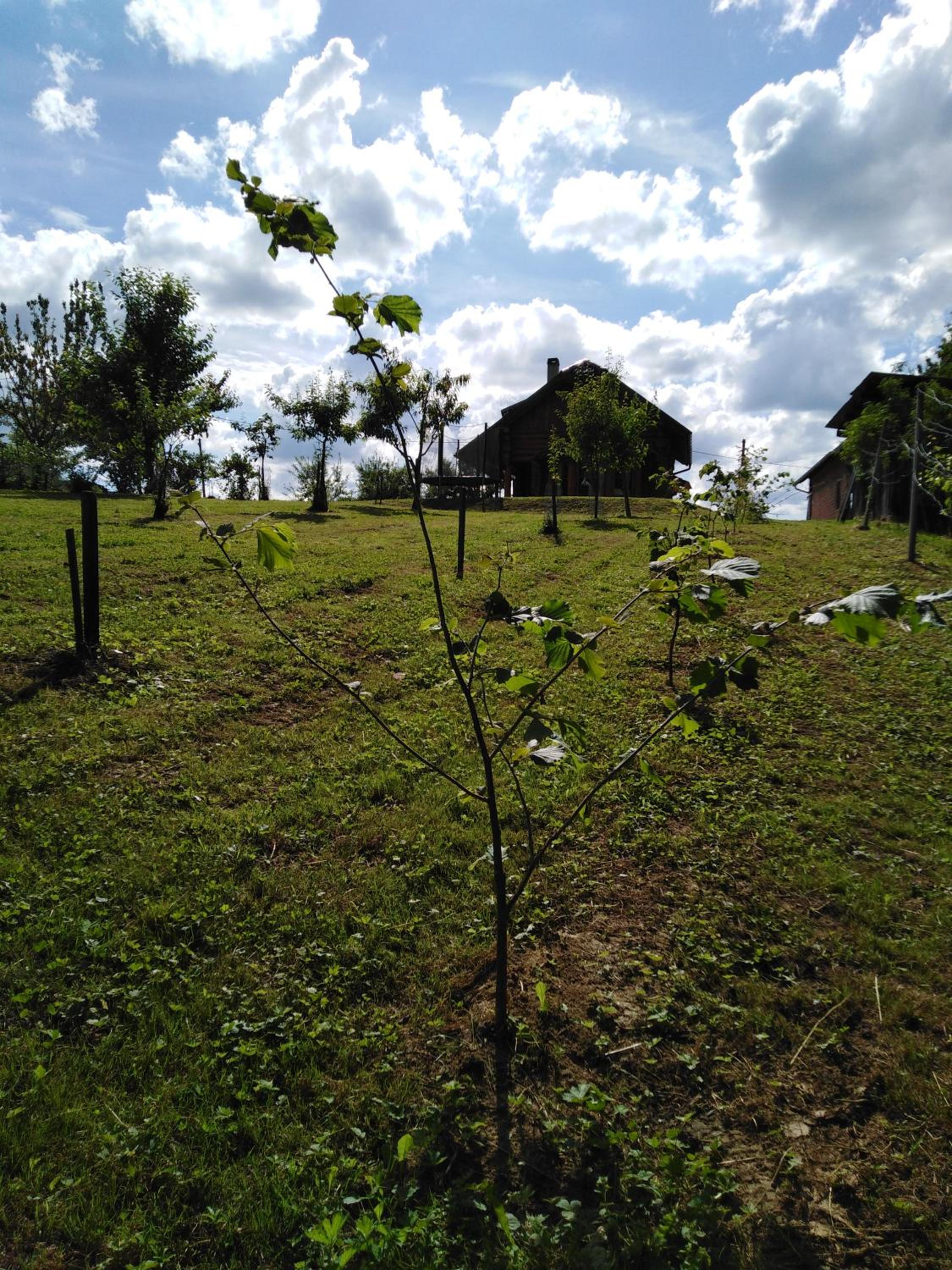 Photo 17