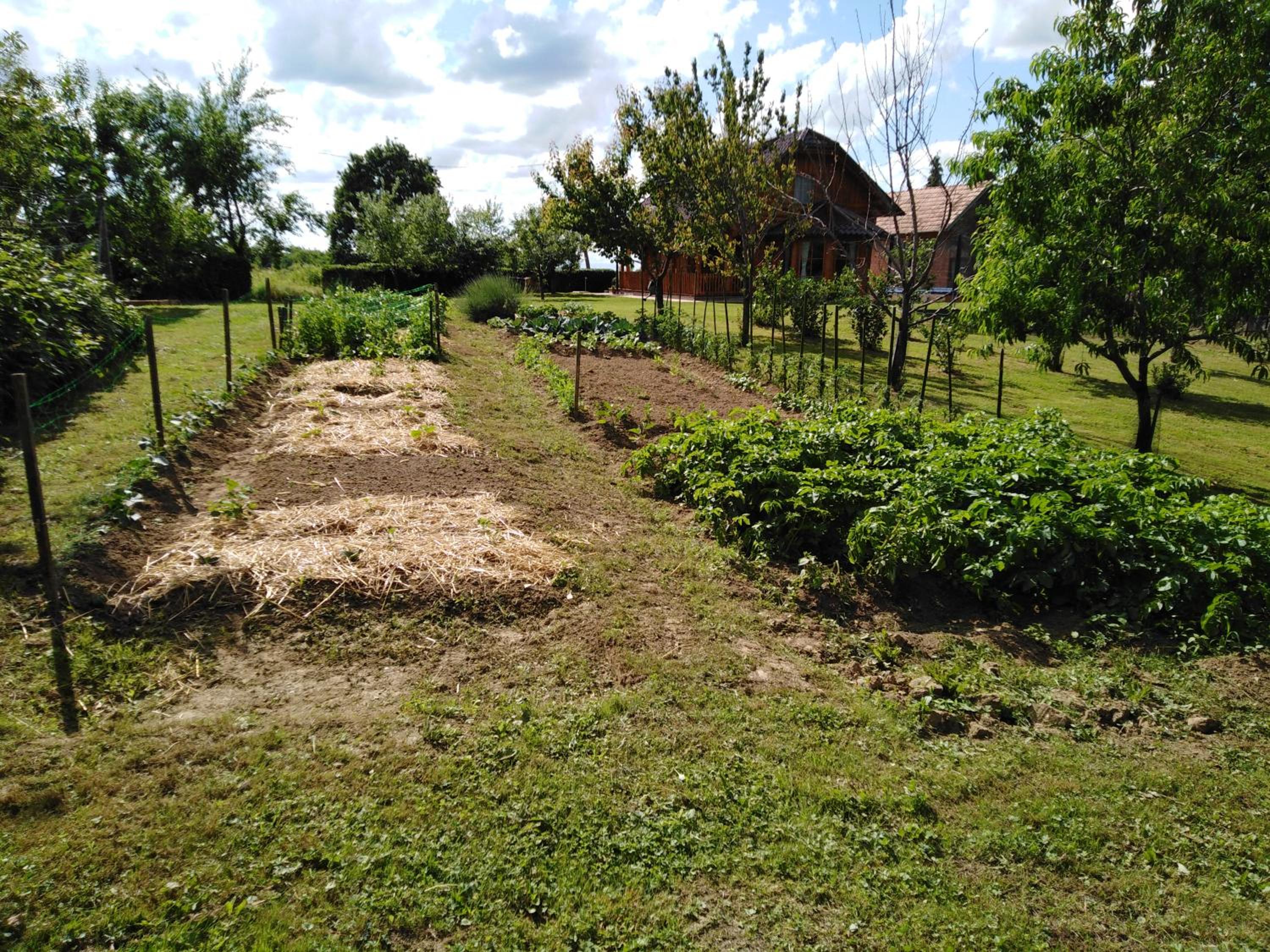 Photo 19