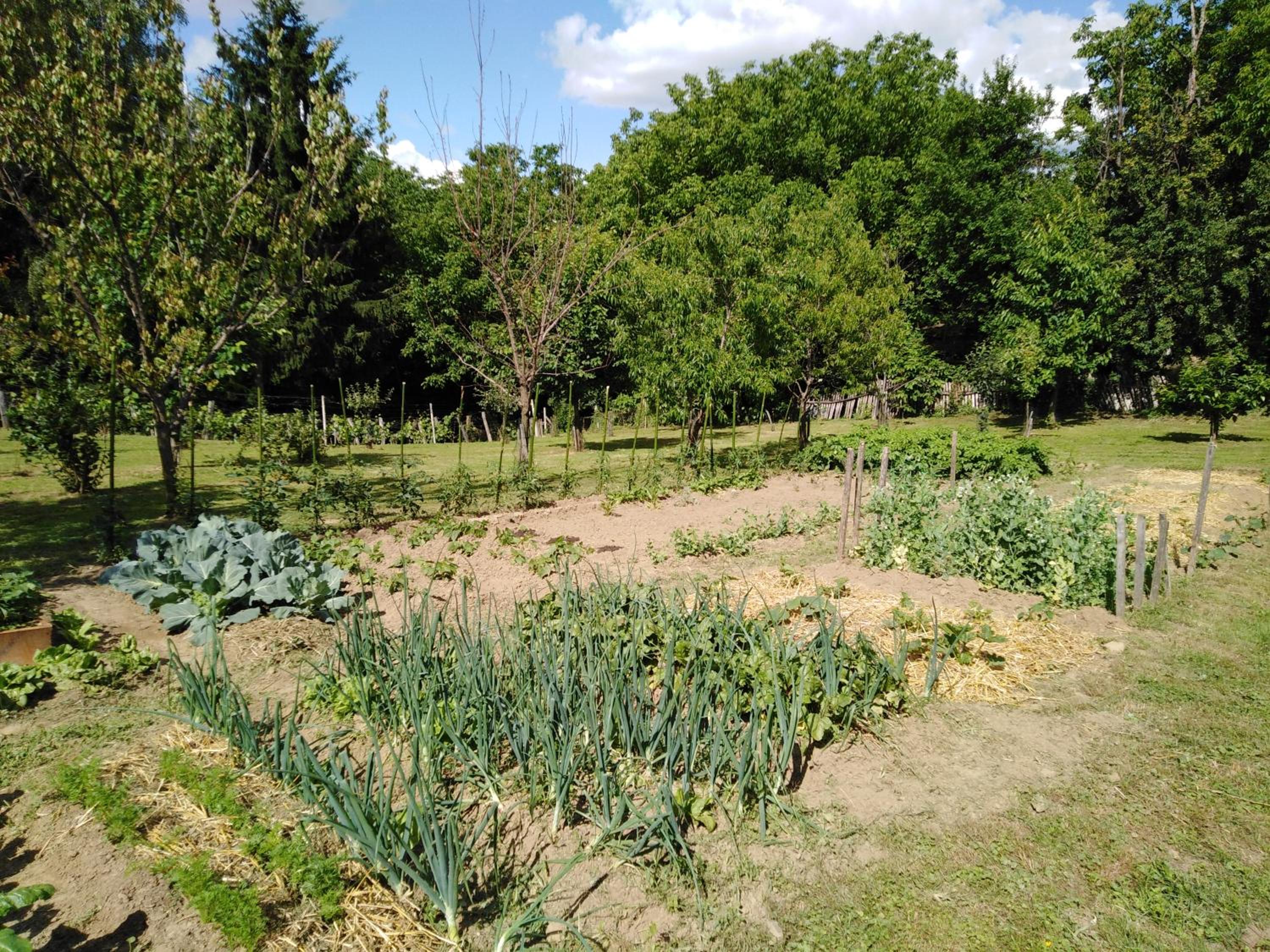 Photo 20