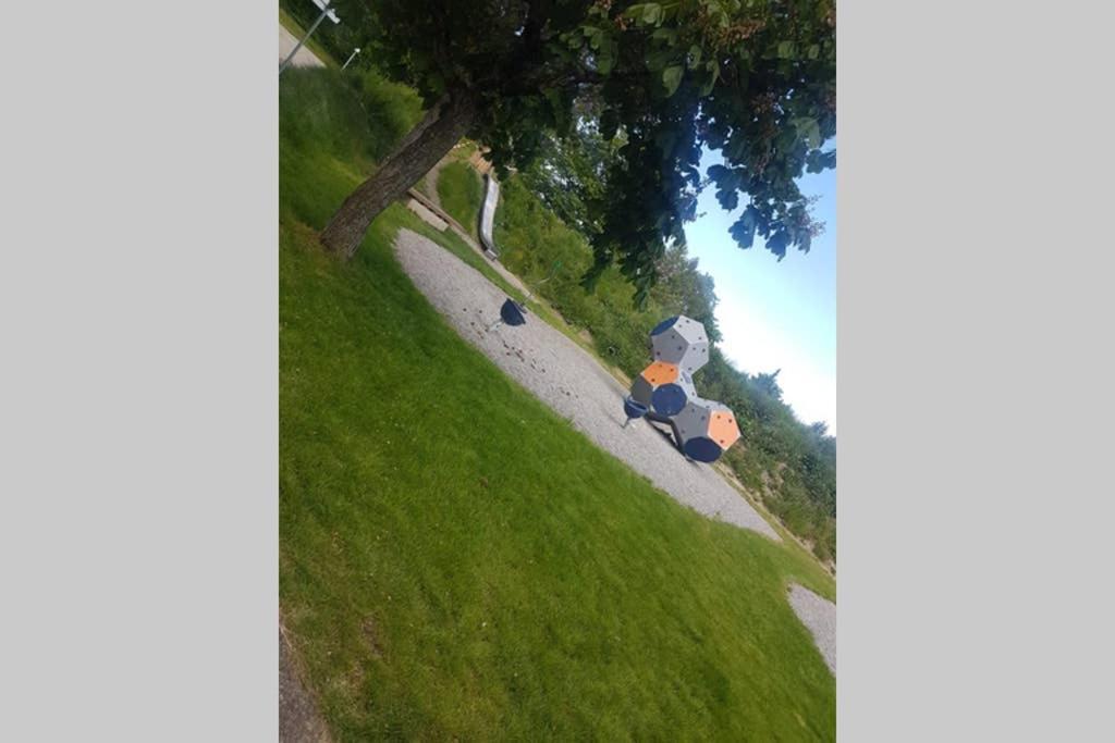 Photo 40