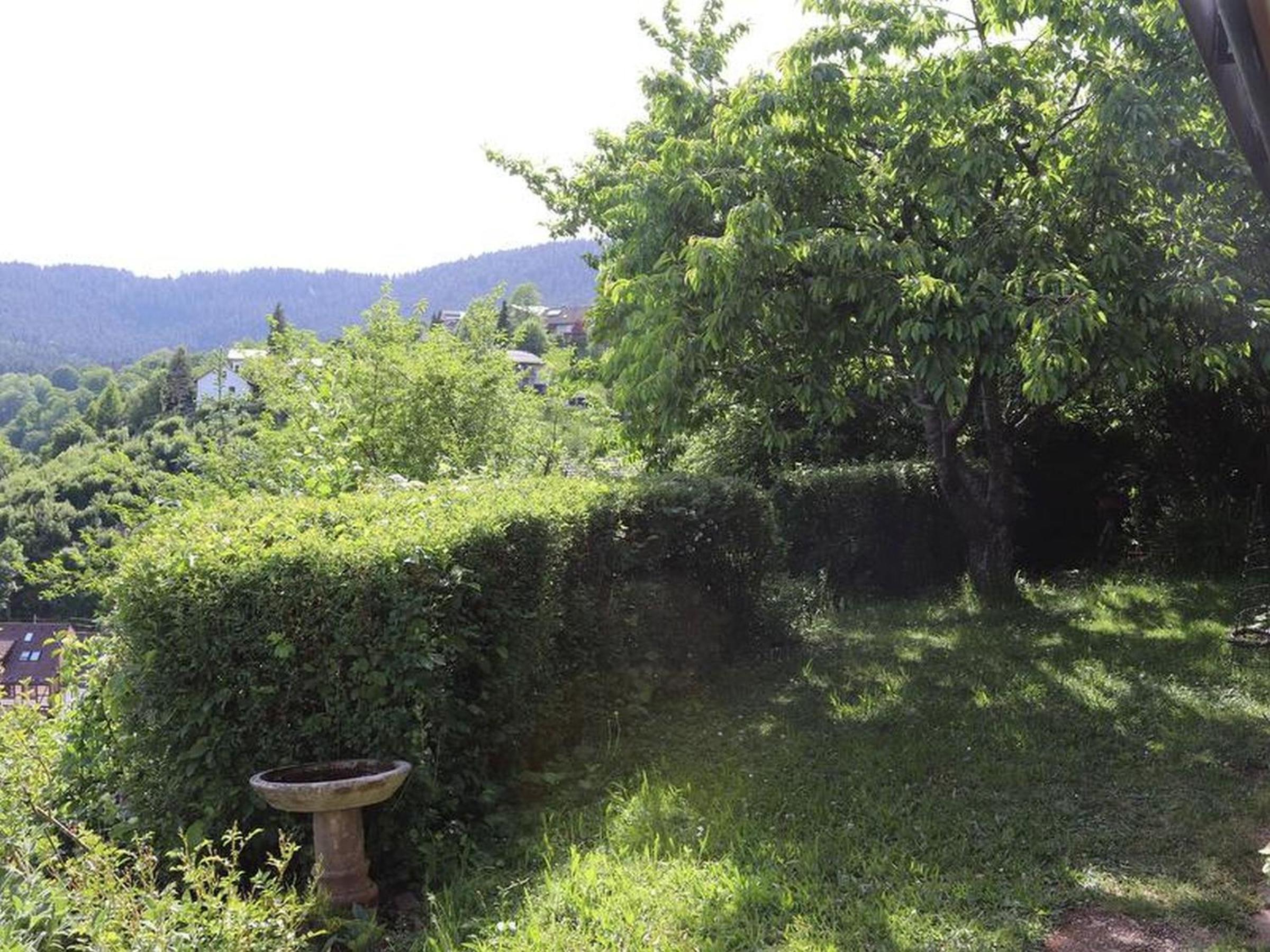 Haus Höhneck view 2