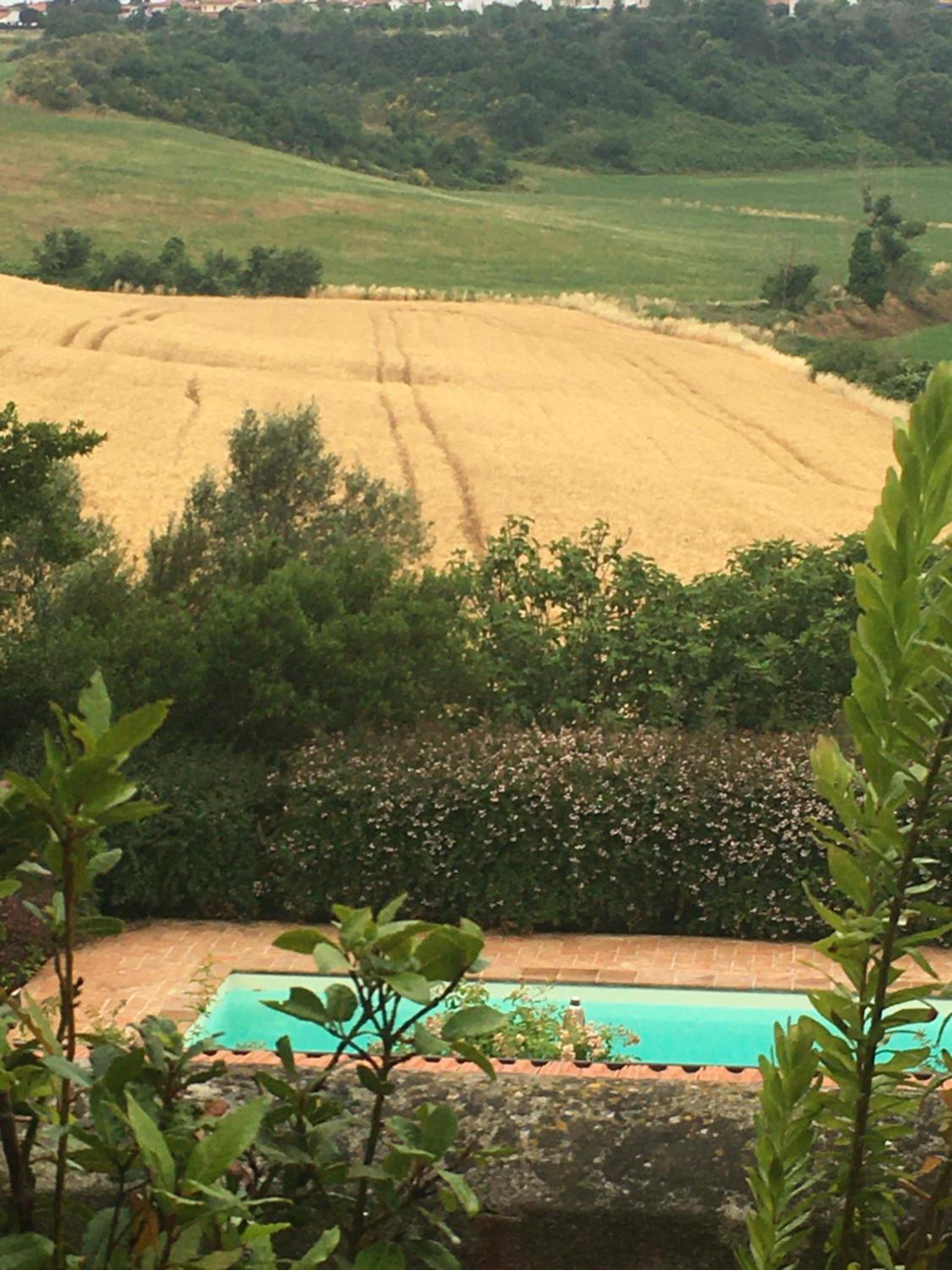 Agriturismo Tenuta Saracone a pochi minuti da Capalbio