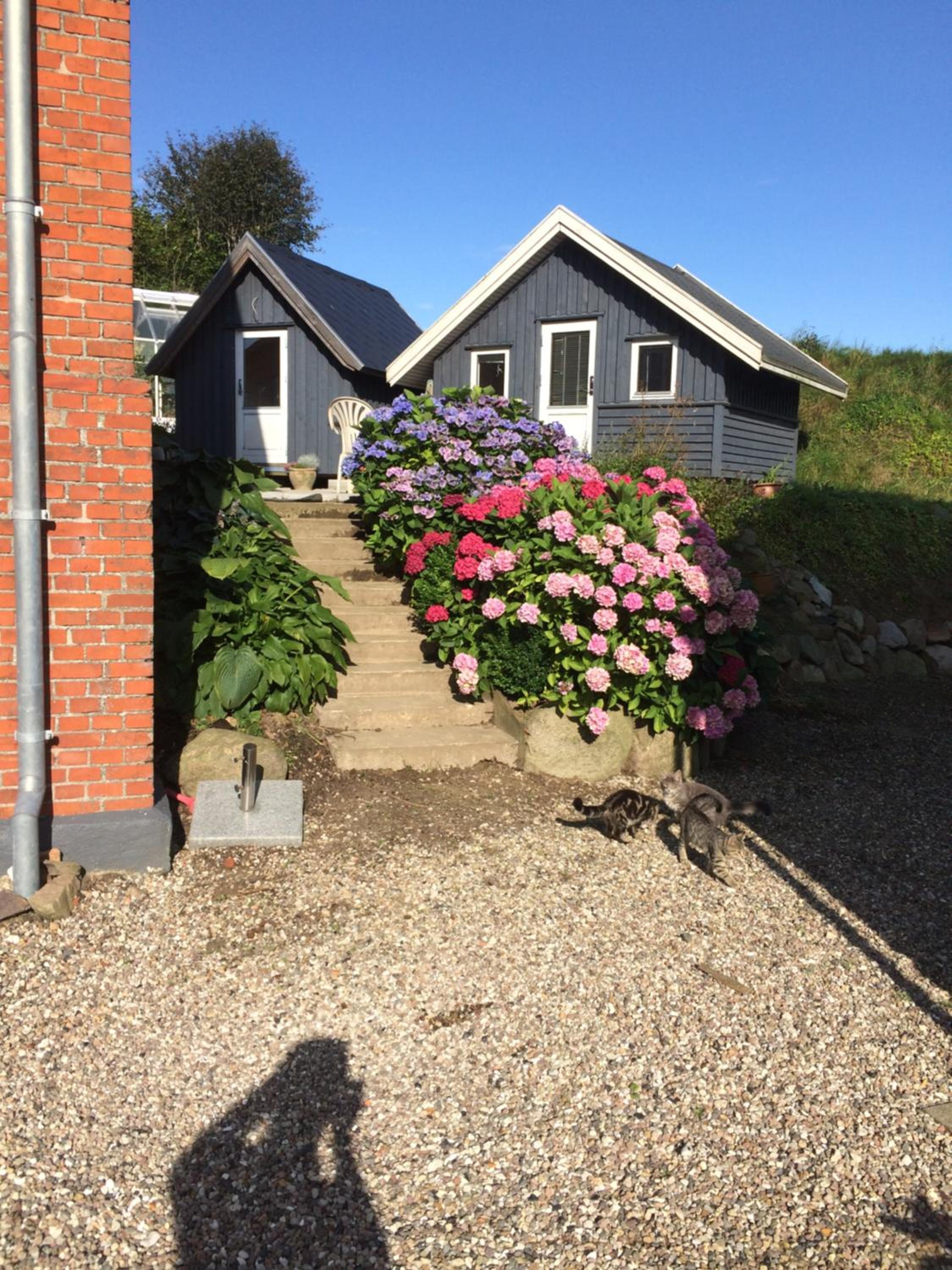 Photo 22