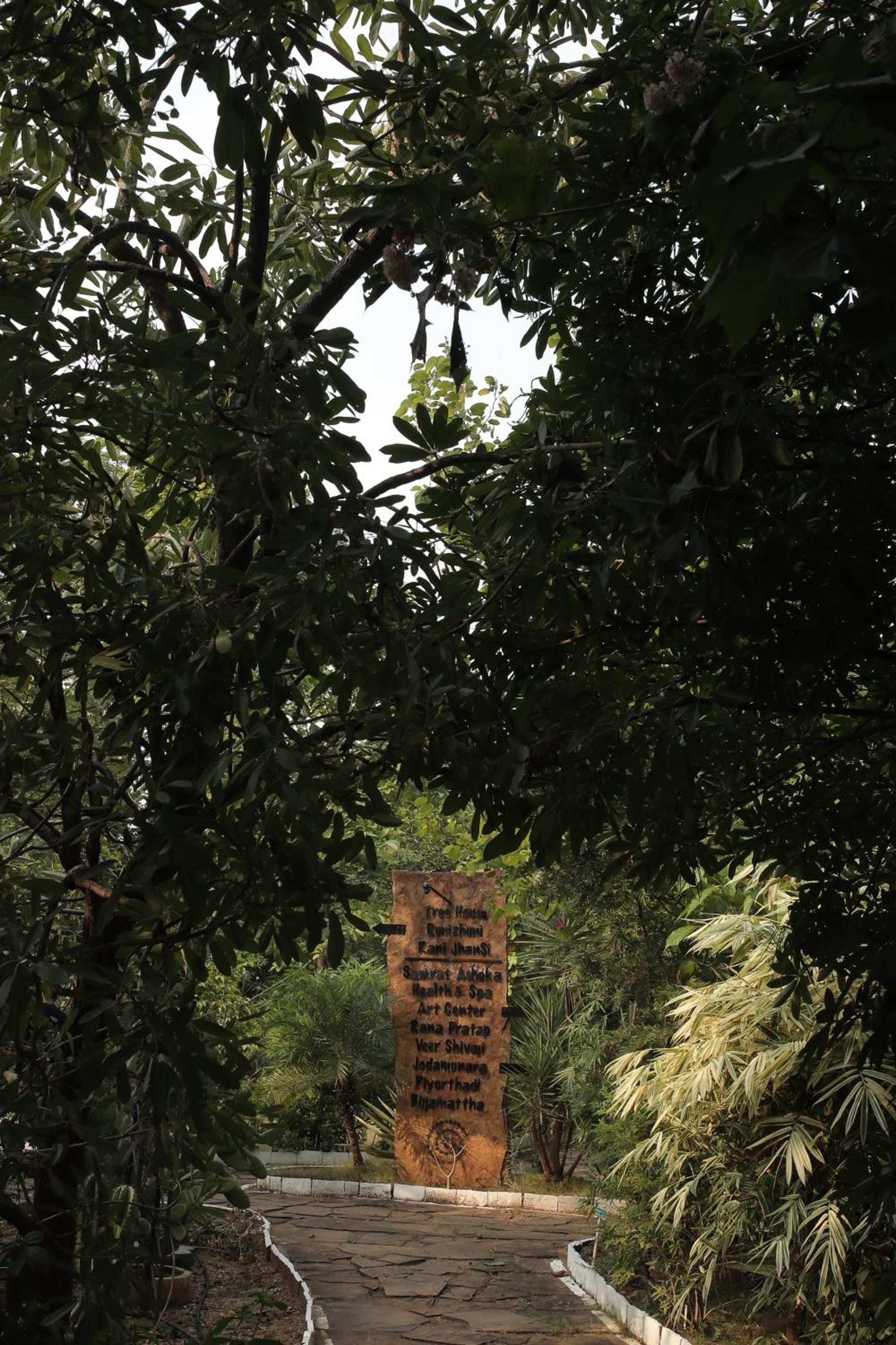 Photo 22