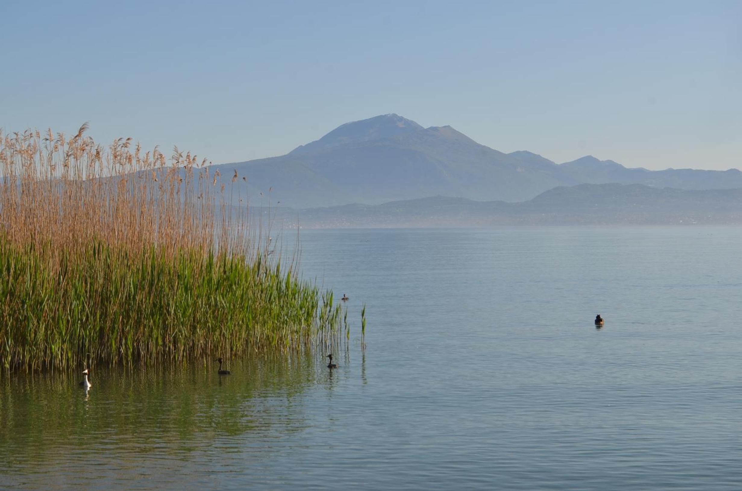 Mattia's House on Garda Lake view 2