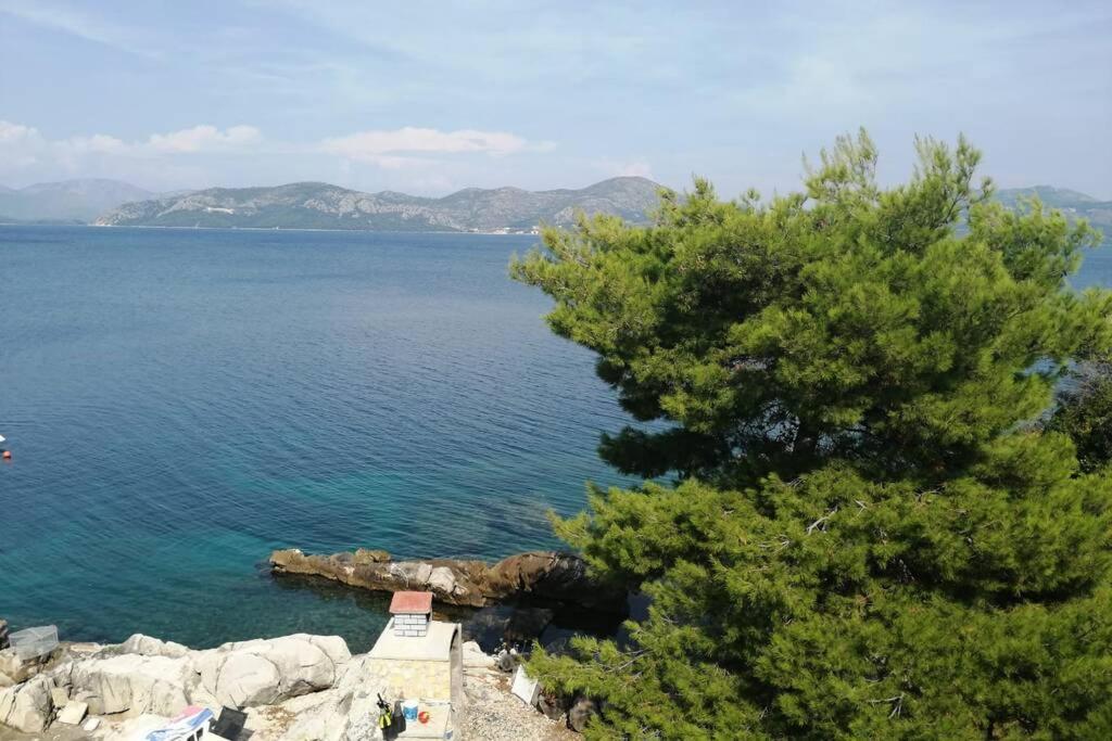 Apartment LEA - Amazing sea view view 3