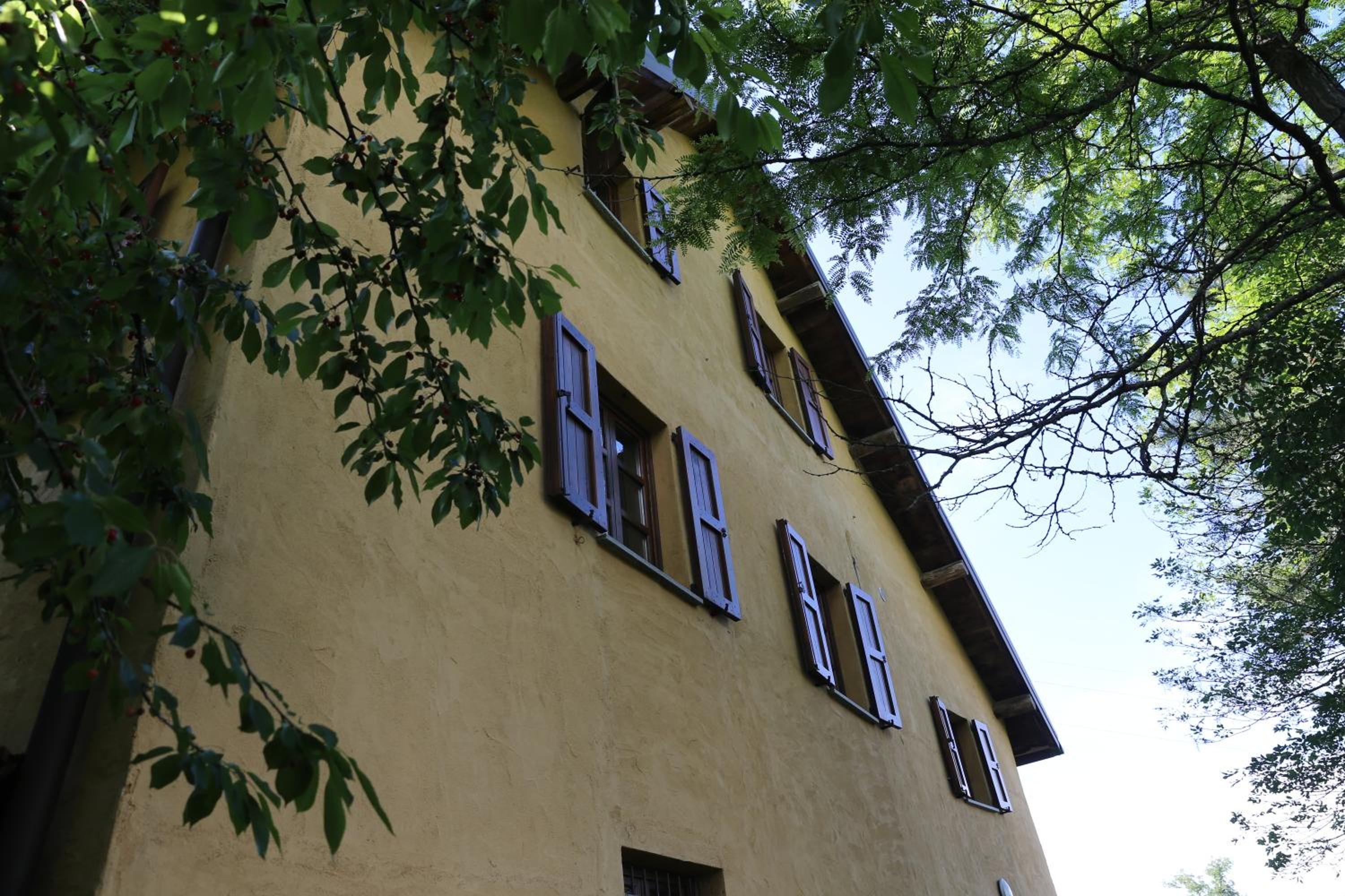 Photo 11
