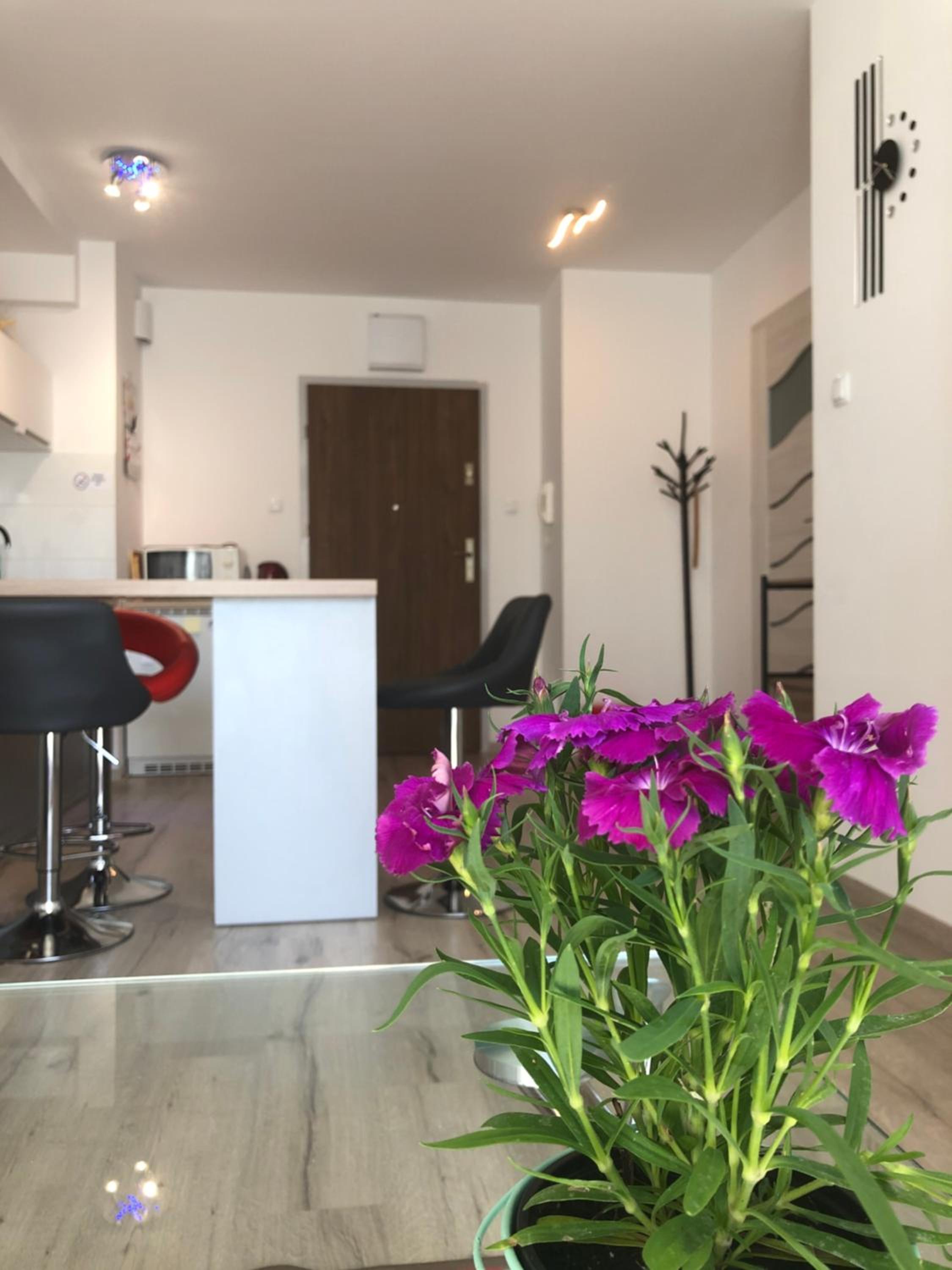 Kołobrzeg apartament Osiedle Bursztynowe ul baltycka 11 b view 5