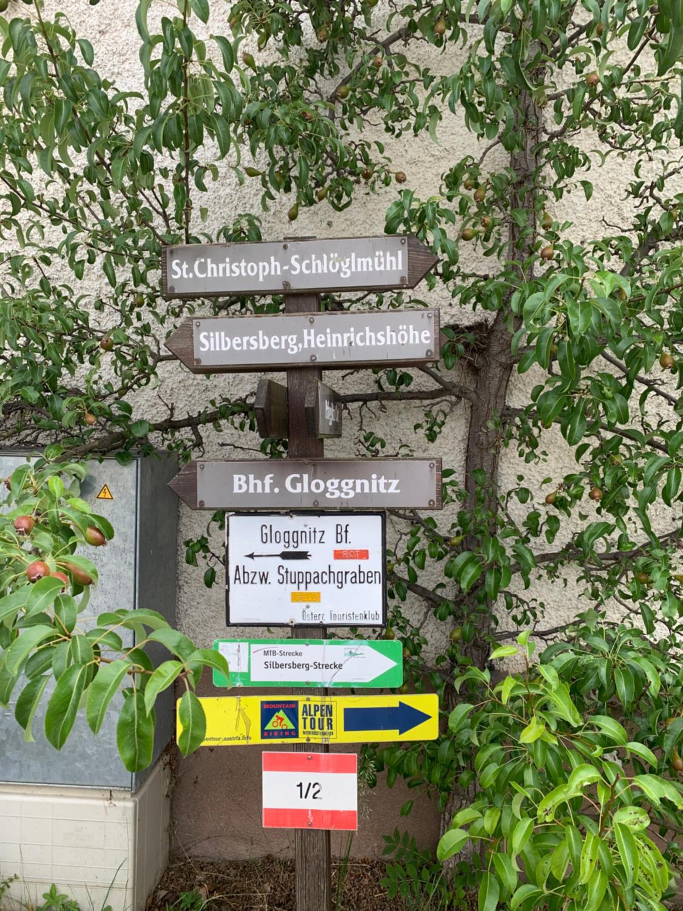 Gasthof Seelhofer