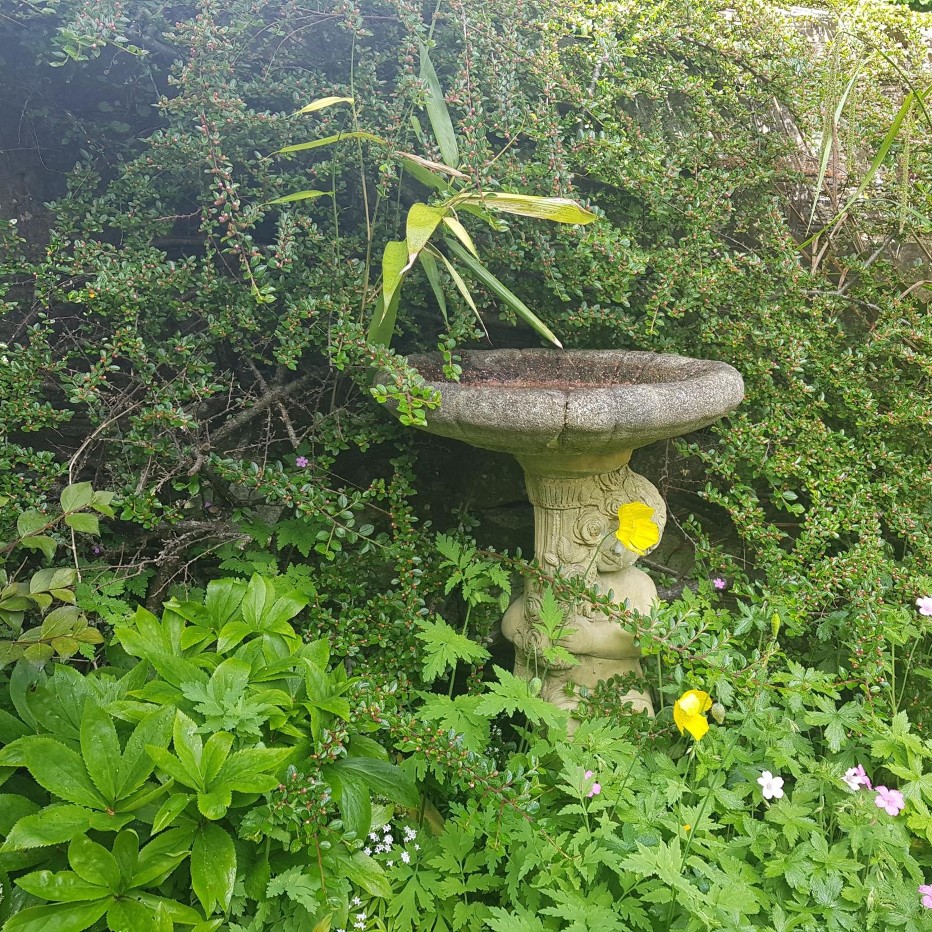 Photo 37