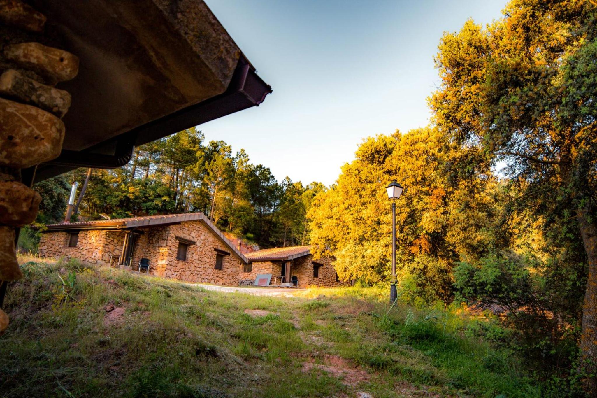 CABAÑAS RIO MUNDO