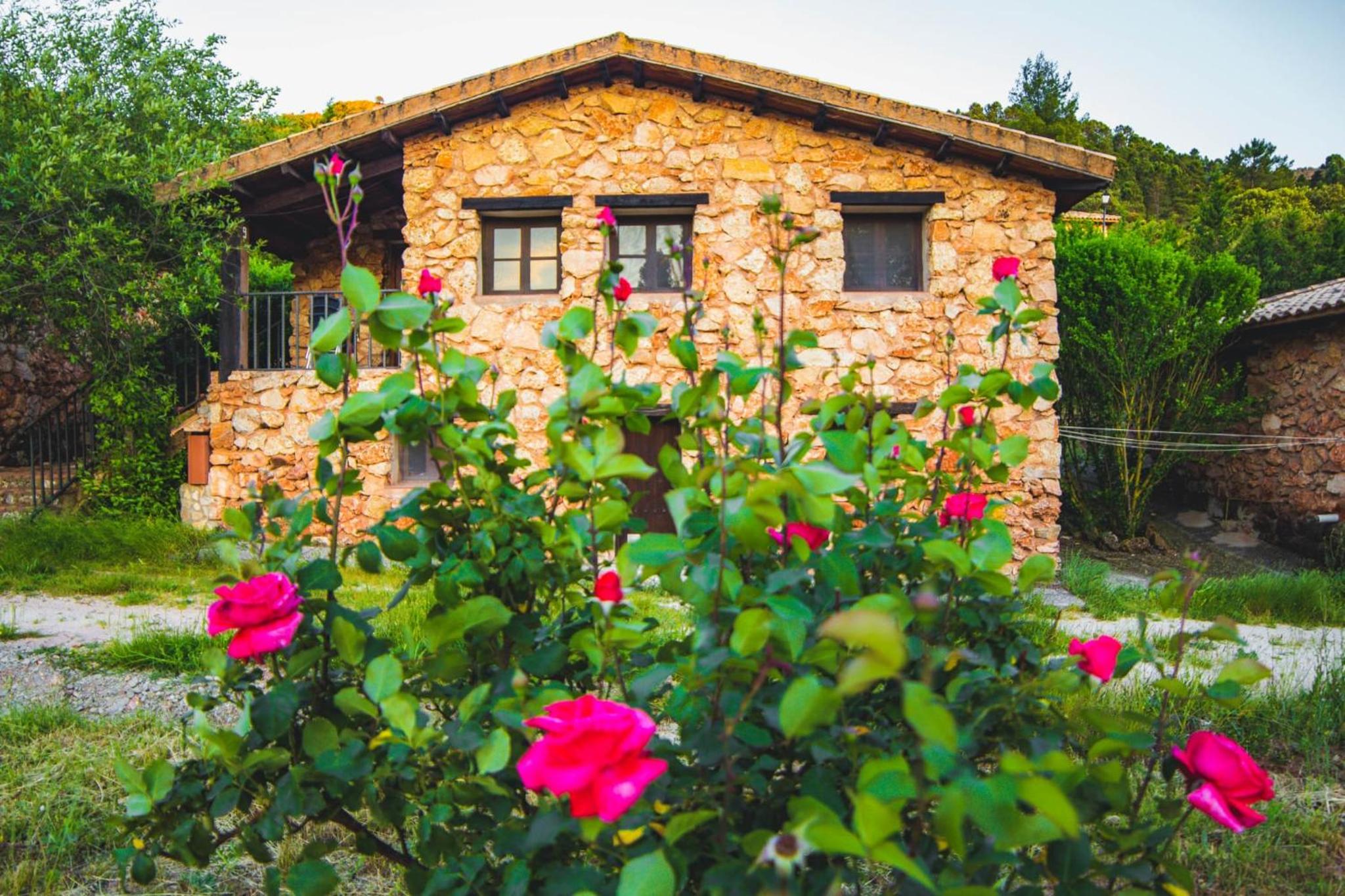 CABAÑAS RIO MUNDO