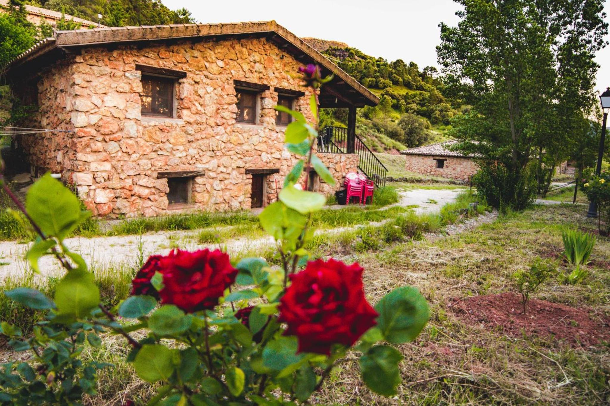 CABAÑAS RIO MUNDO