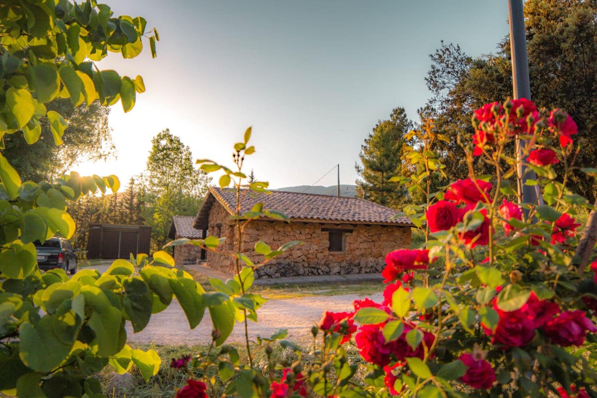 CABAÑAS RIO MUNDO