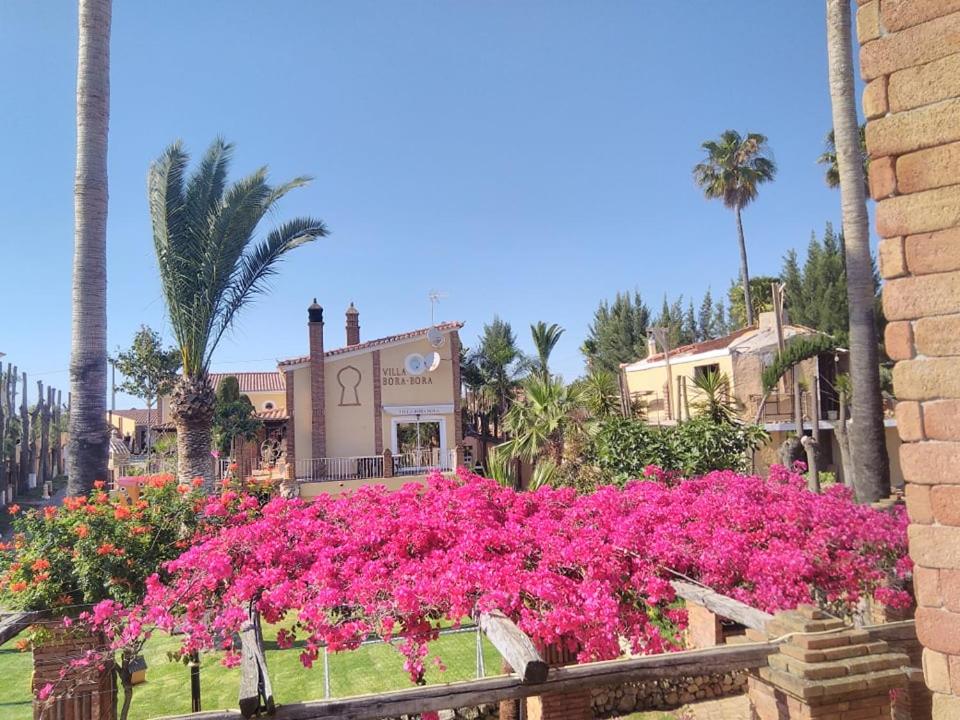 Villa Bora-Bora